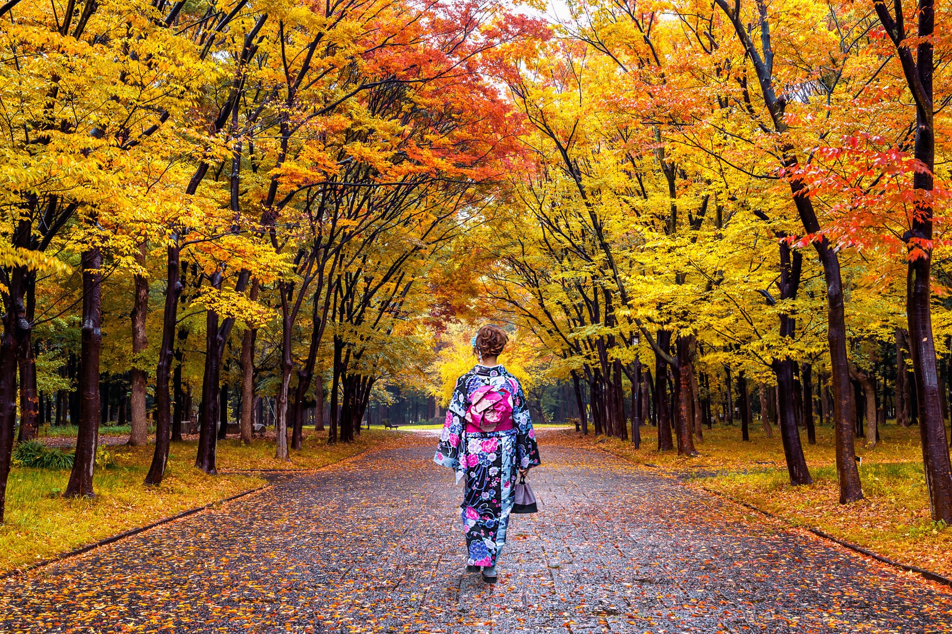 Professional Photo Shoot in Tokyo - სურათი 3