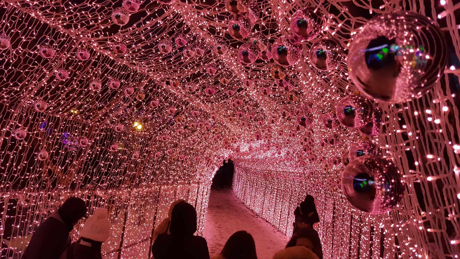 Nami Island, Mount Seorak, and Garden of Morning Calm Full-Day Tour from Seoul - სურათი 11