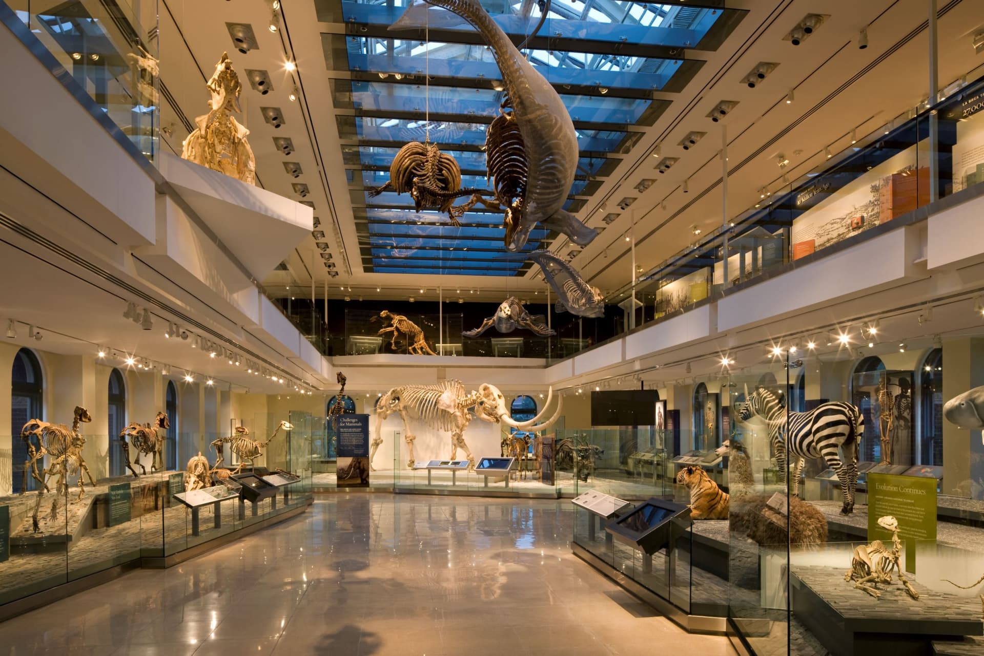 Go City Los Angeles Essentials Pass: 3 Attractions - სურათი 5