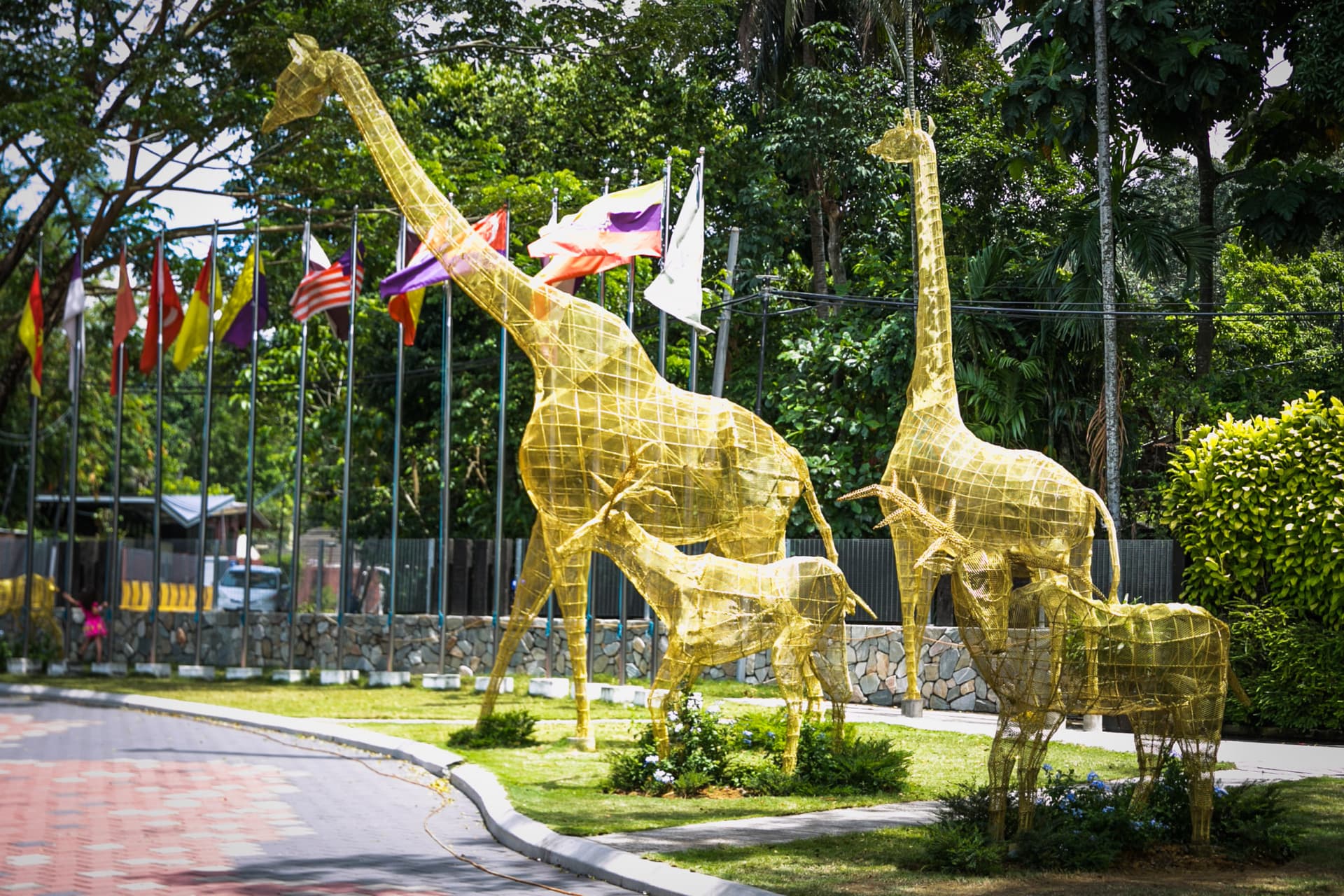 Zoo Negara Malaysia & Panda Conservation Centre Ticket - სურათი 24