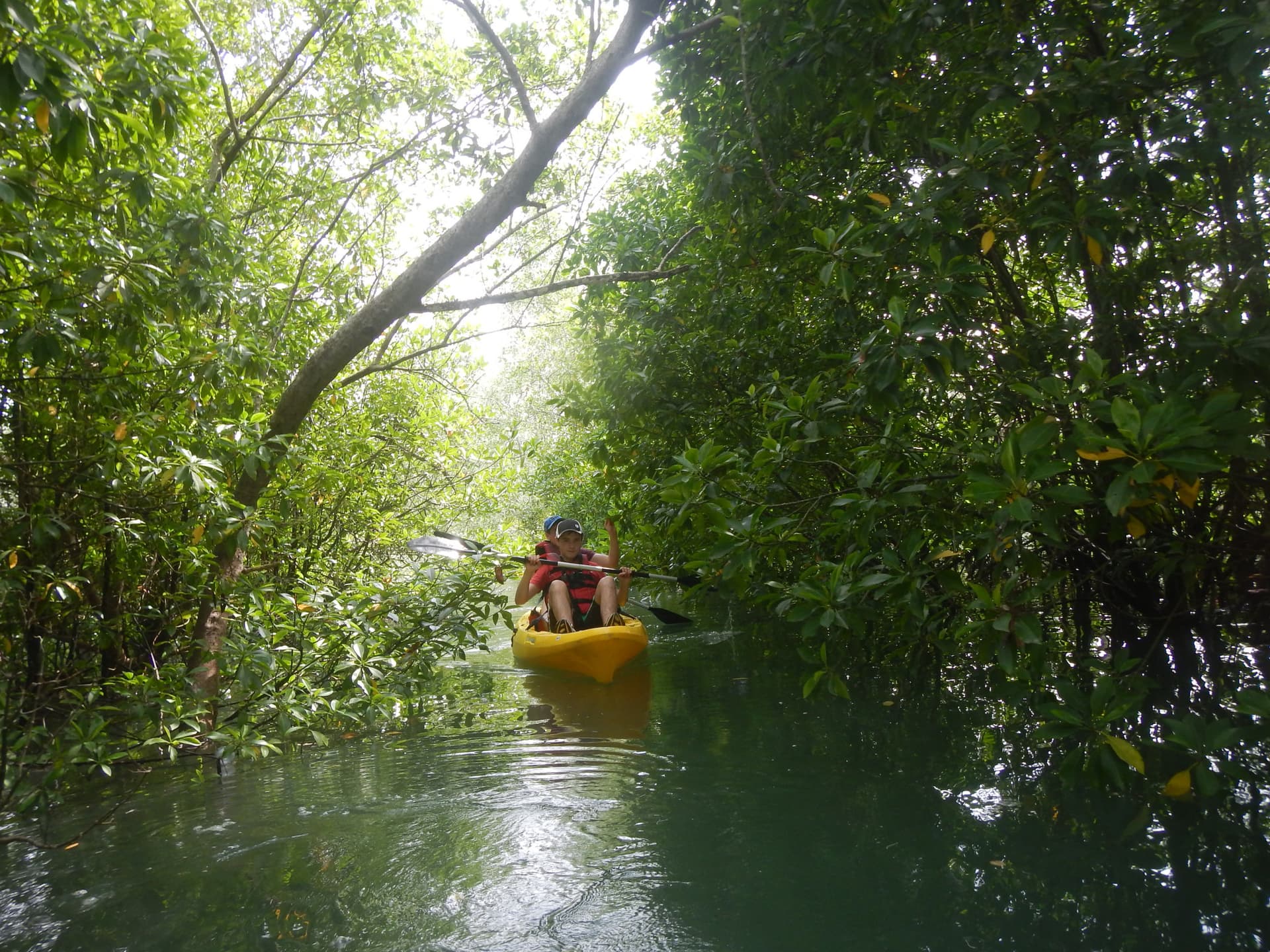 Pulau Ubin Kayaking - სურათი 4