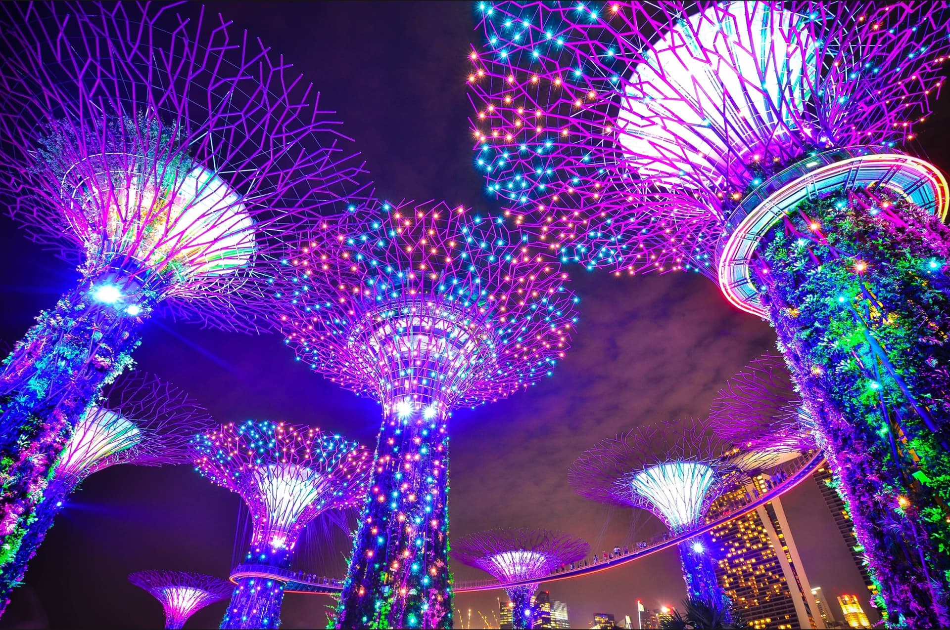 COMBO: Gardens by the Bay + Marina Bay Sands SkyPark Observation Deck Tickets - სურათი 6