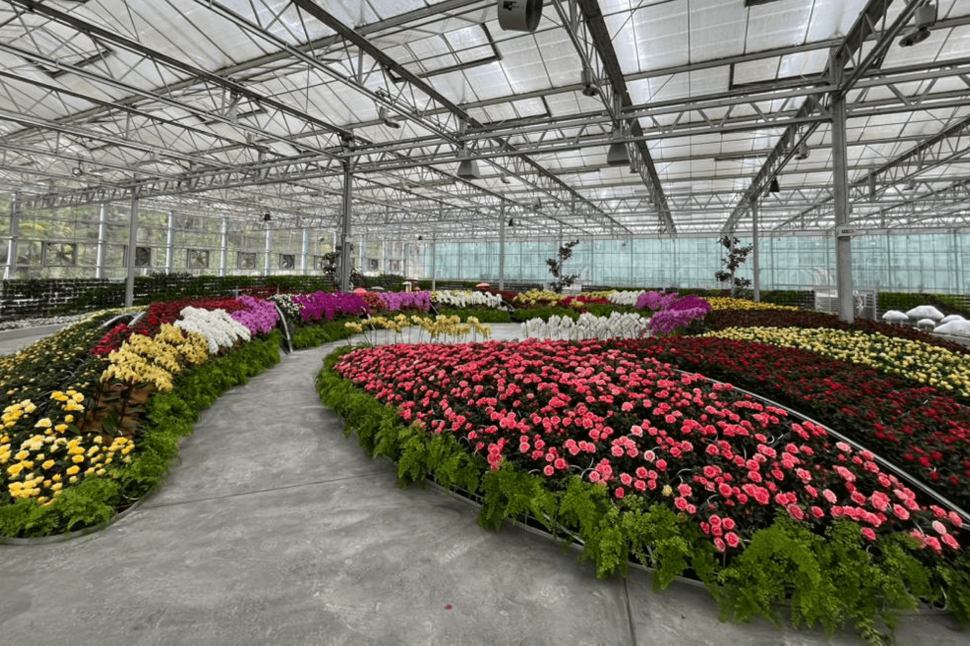Eufloria Gardens & Sculpture Park in Genting Ticket - სურათი 10
