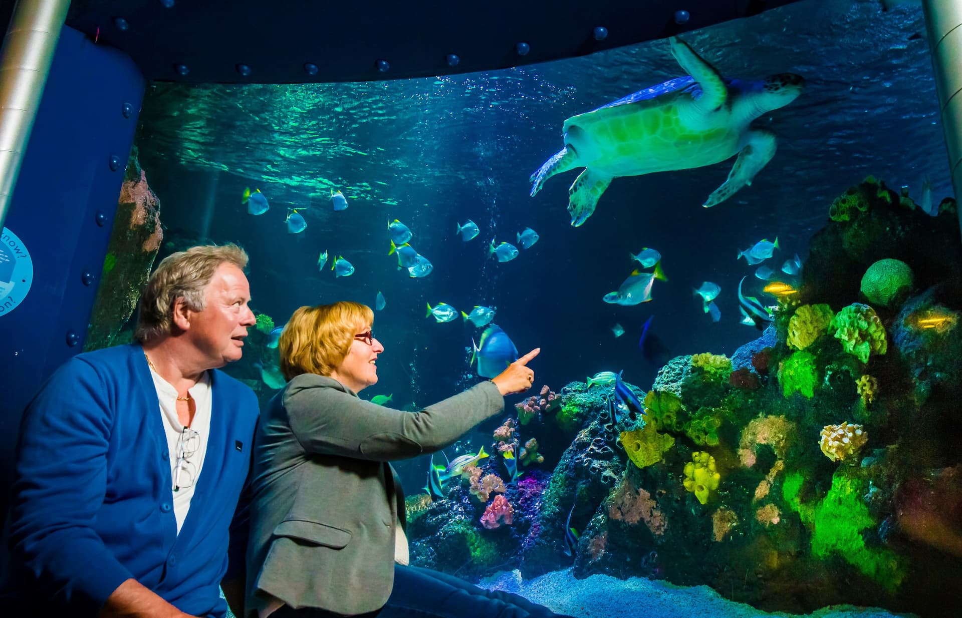 SEA LIFE Timmendorfer Strand Aquarium Ticket - სურათი 6