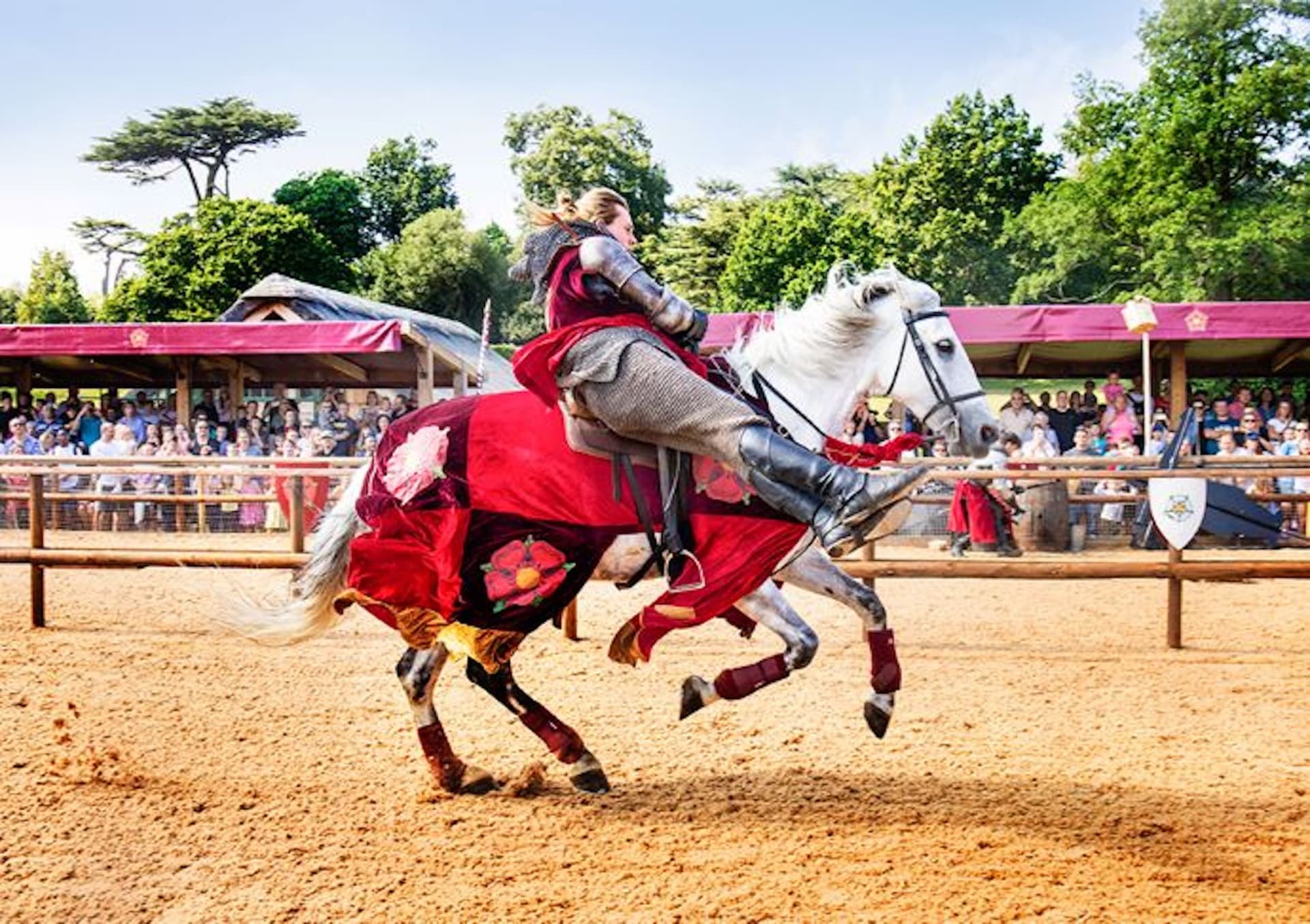 Warwick Castle - სურათი 2