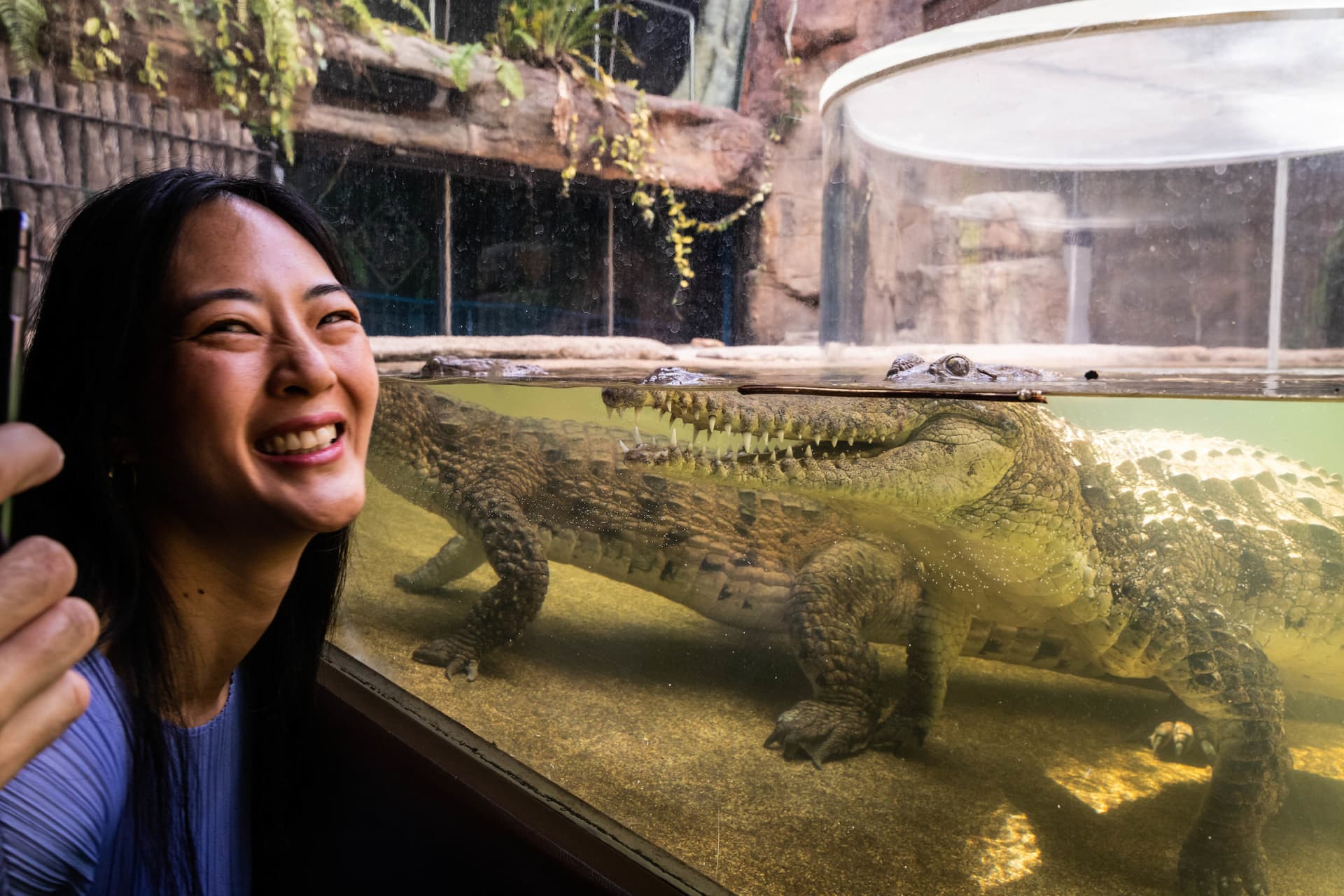 COMBO: WILD LIFE Sydney Zoo Ticket + Captain Cook Hop-on Hop-off Cruise - სურათი 5