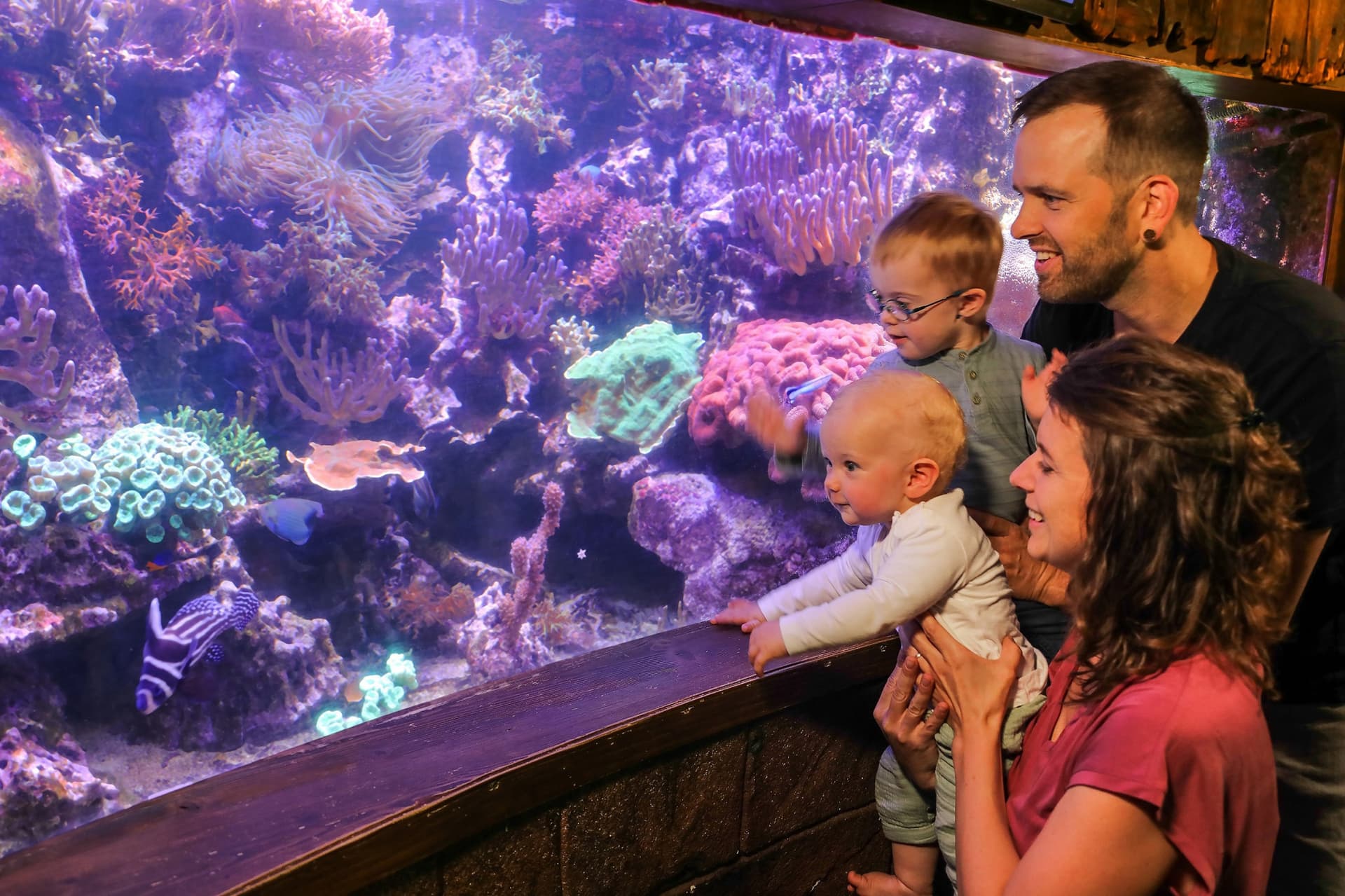 SEA LIFE Hannover Aquarium Ticket - სურათი 8