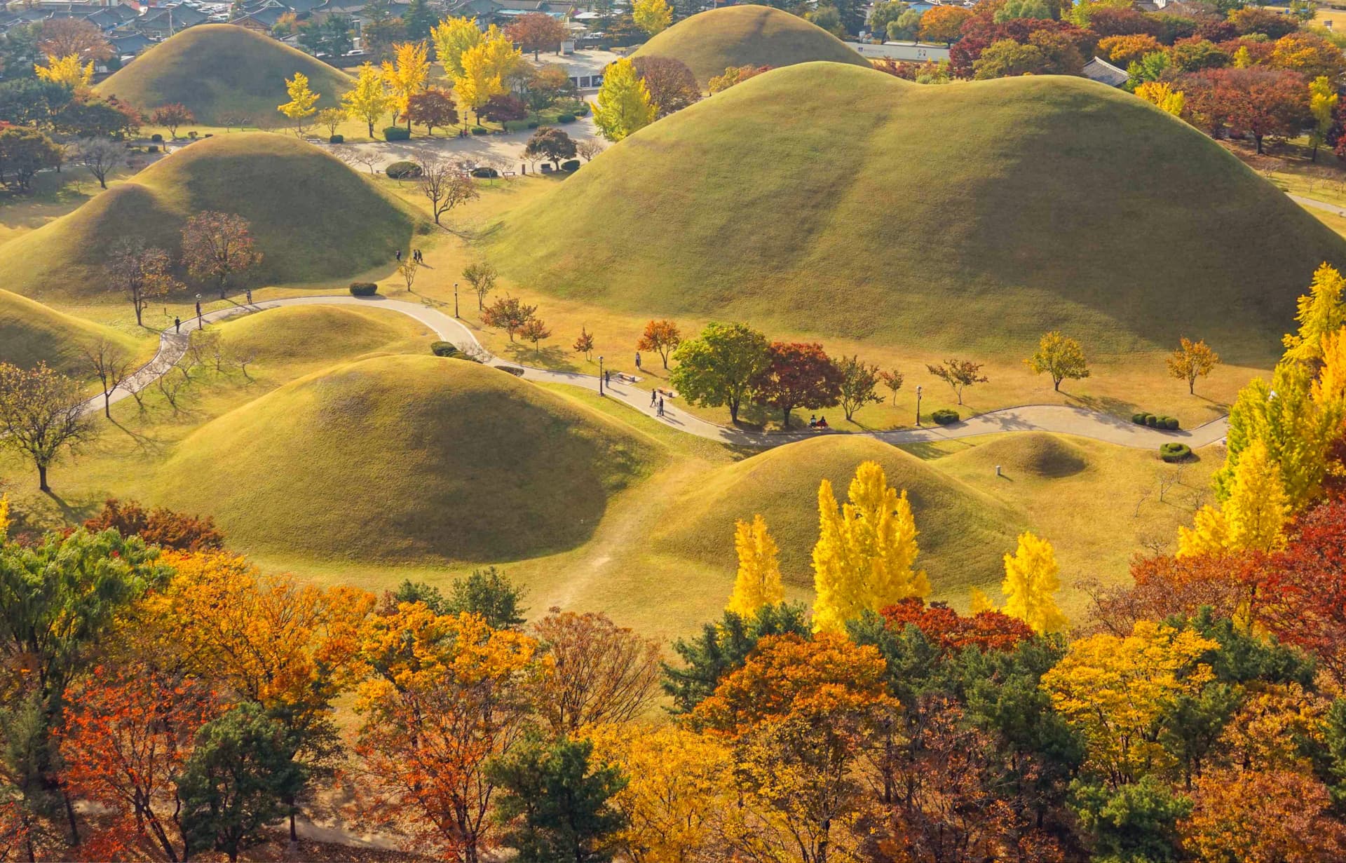 Gyeongju Autumn Foliage One Day Tour from Busan - სურათი 2