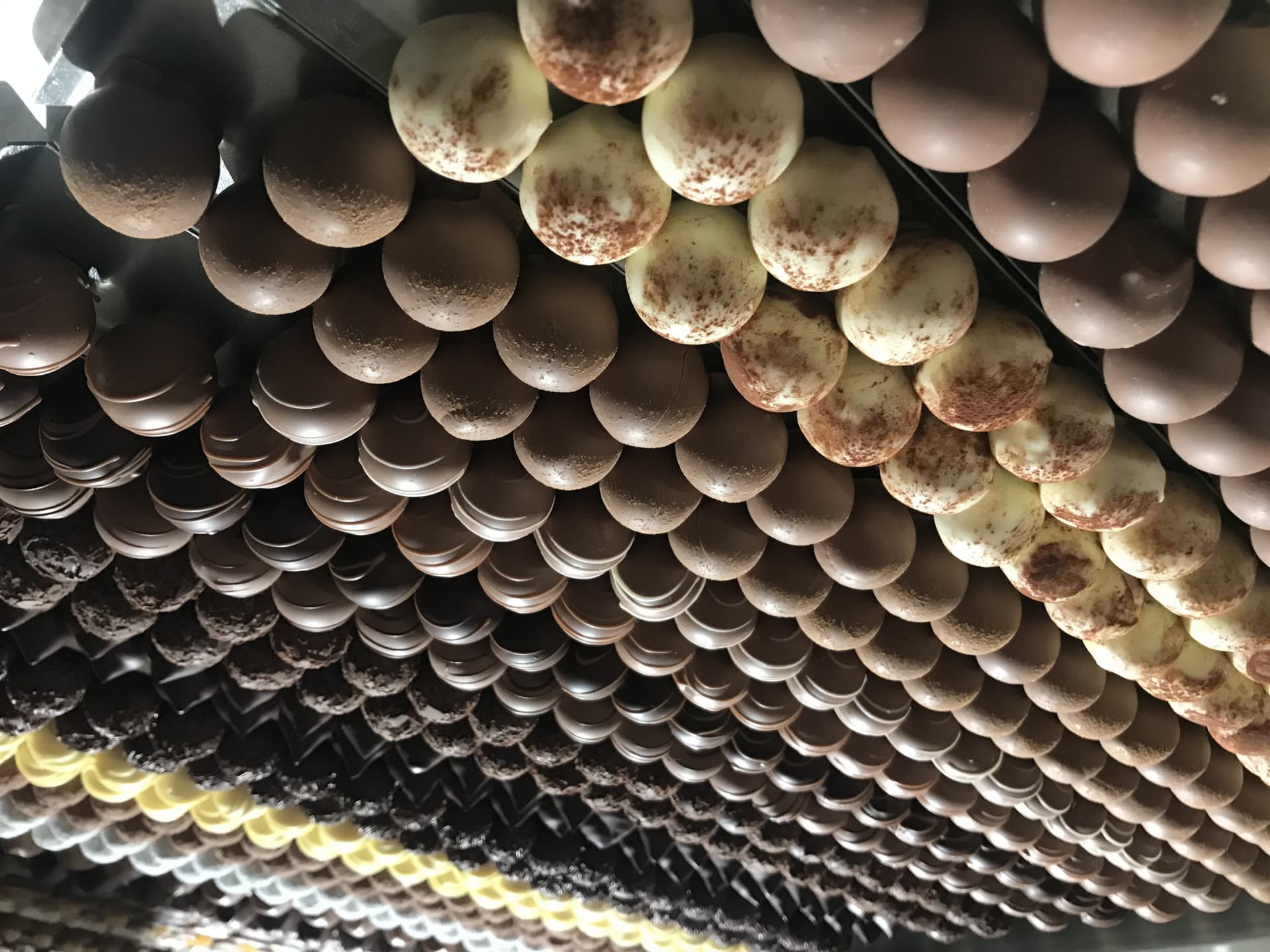 Appenzell Tour from Zurich with Cheese and Chocolate Tasting - სურათი 11