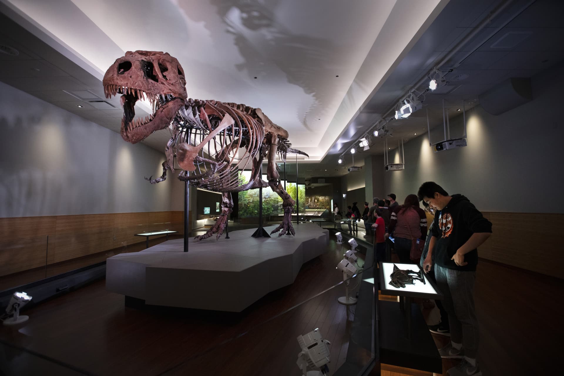 Go City Chicago Explorer Pass: Save up to 50% on Attractions - სურათი 27