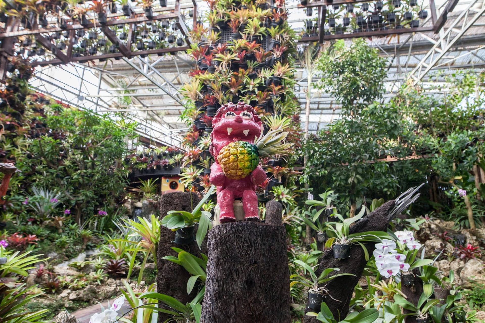 Okinawa Nago Pineapple Park - სურათი 6