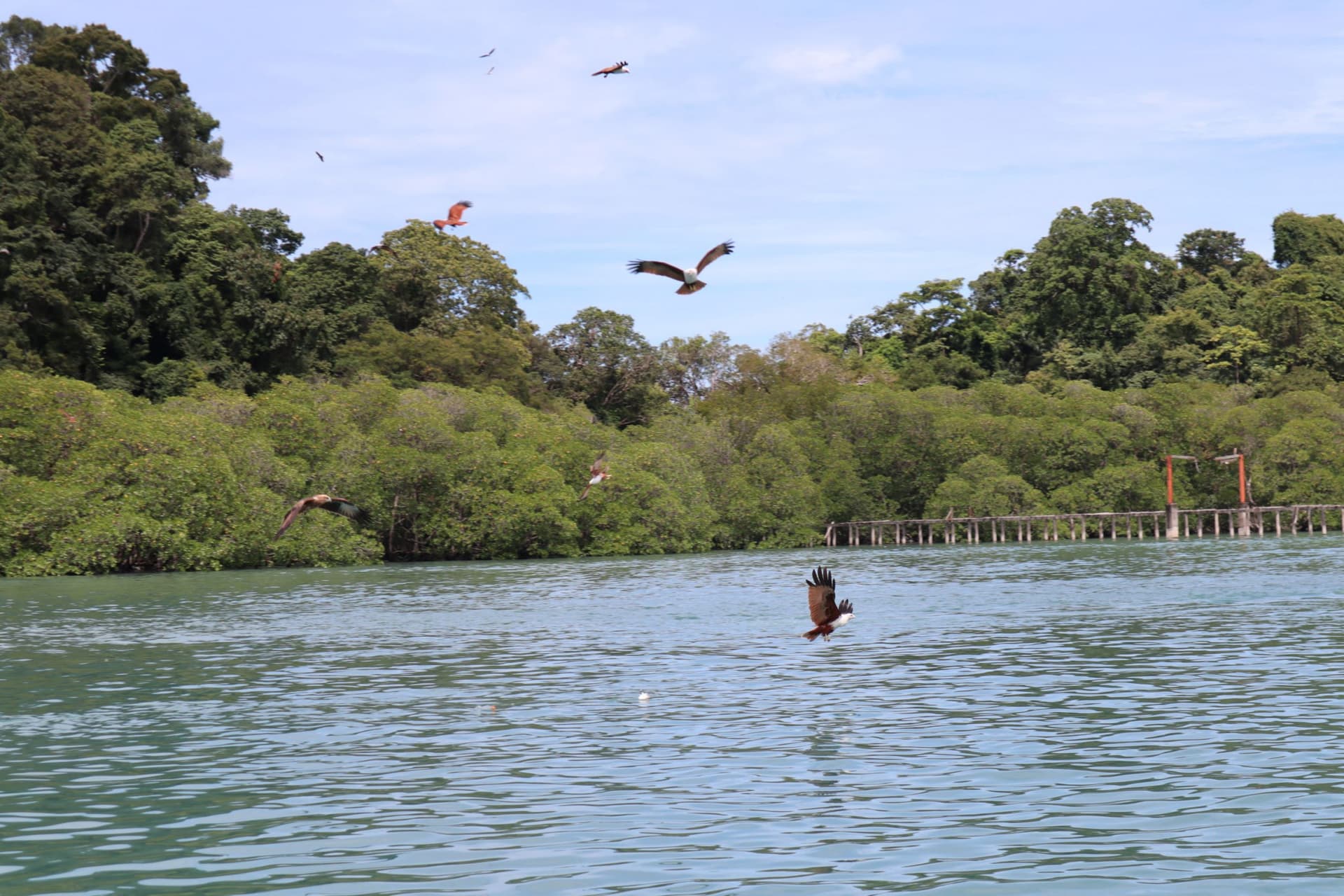Langkawi Island Hopping Tour by Speedboat - სურათი 8
