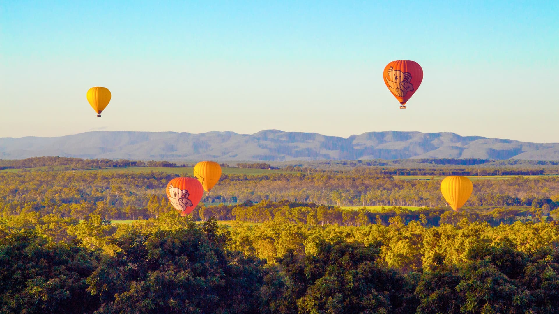 Cairns Hot Air Balloon Flight with Sparkling Wine and Optional Round Trip Transfer - სურათი 5