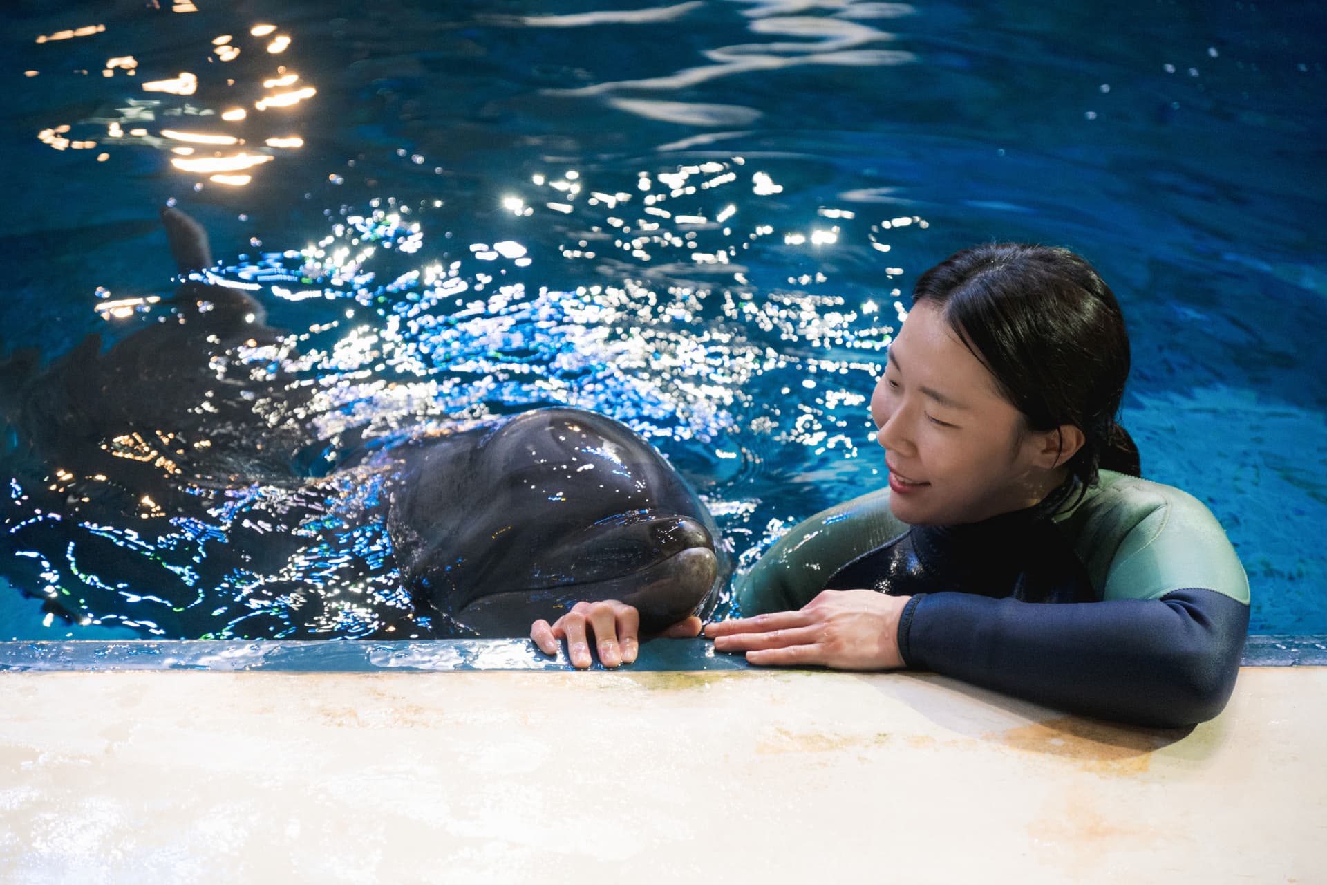 Aqua Planet Jeju Aquarium Ticket - სურათი 9