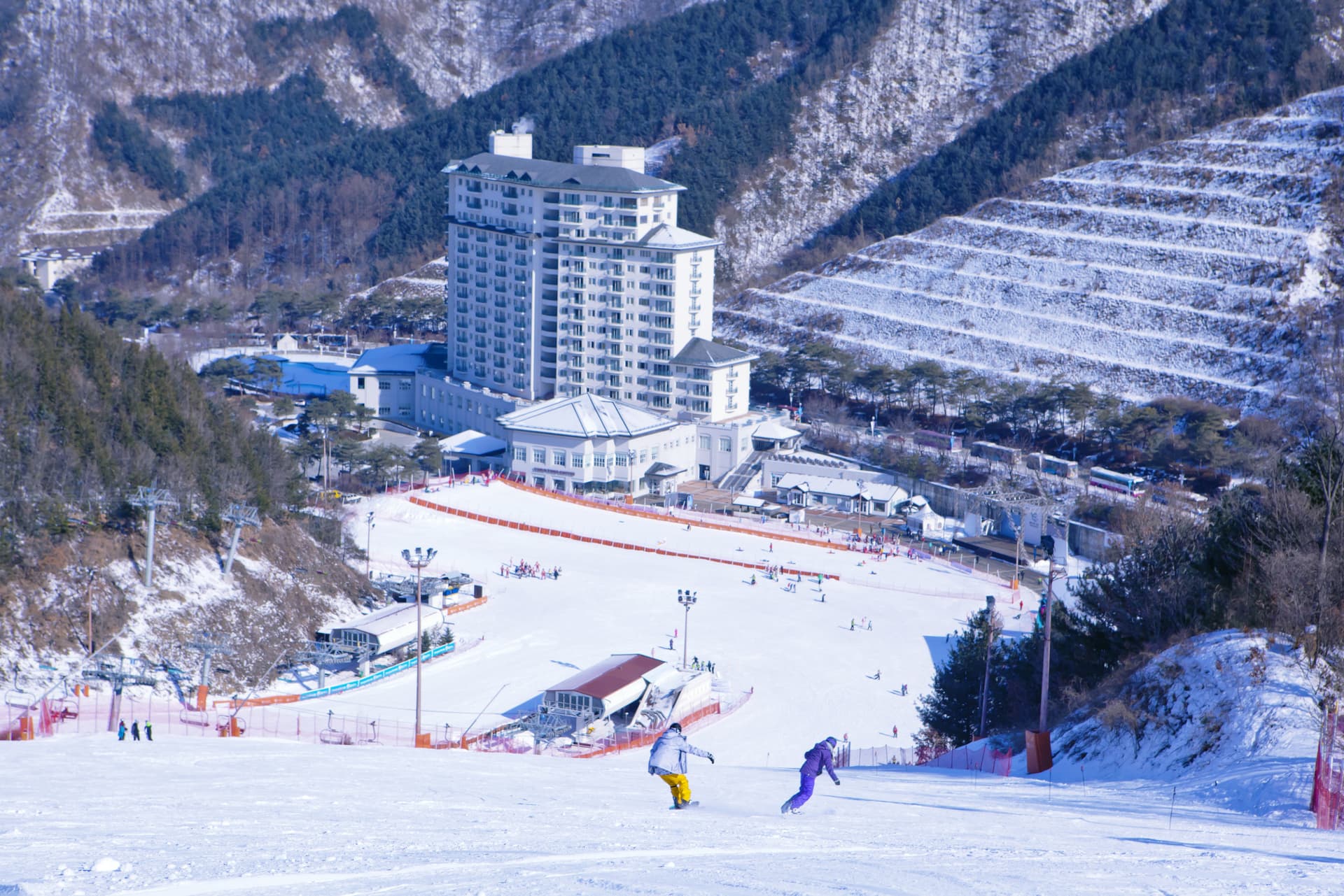 Elysian Gangchon Ski Resort and Nami Island Full-Day Tour from Seoul - სურათი 4