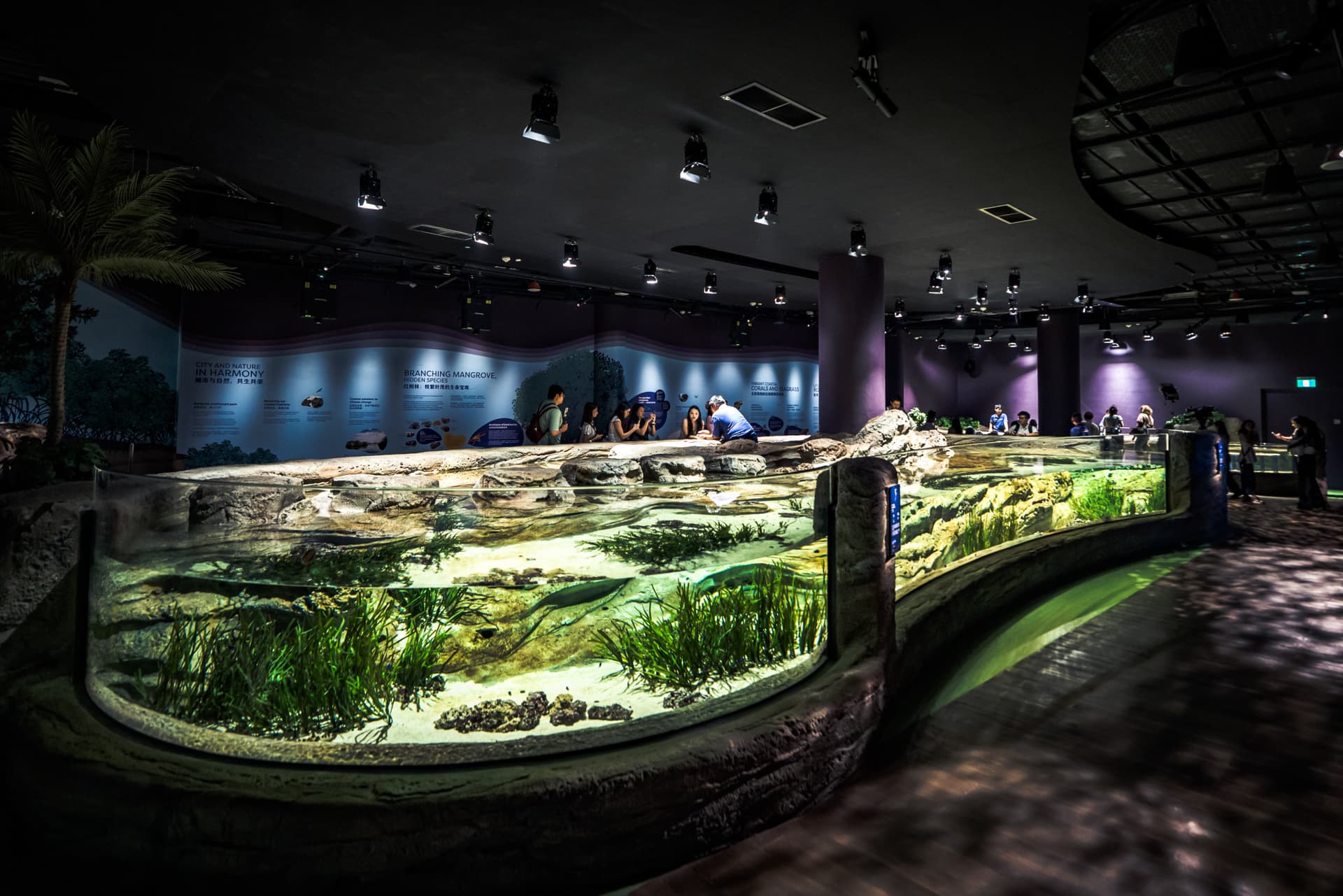COMBO: Singapore Oceanarium + Gardens by the Bay Ticket - სურათი 3