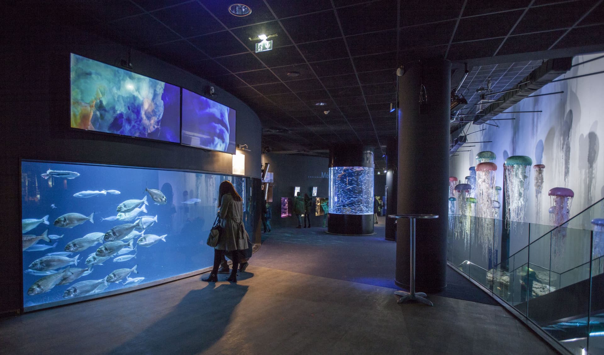 Aquarium de Paris - სურათი 3