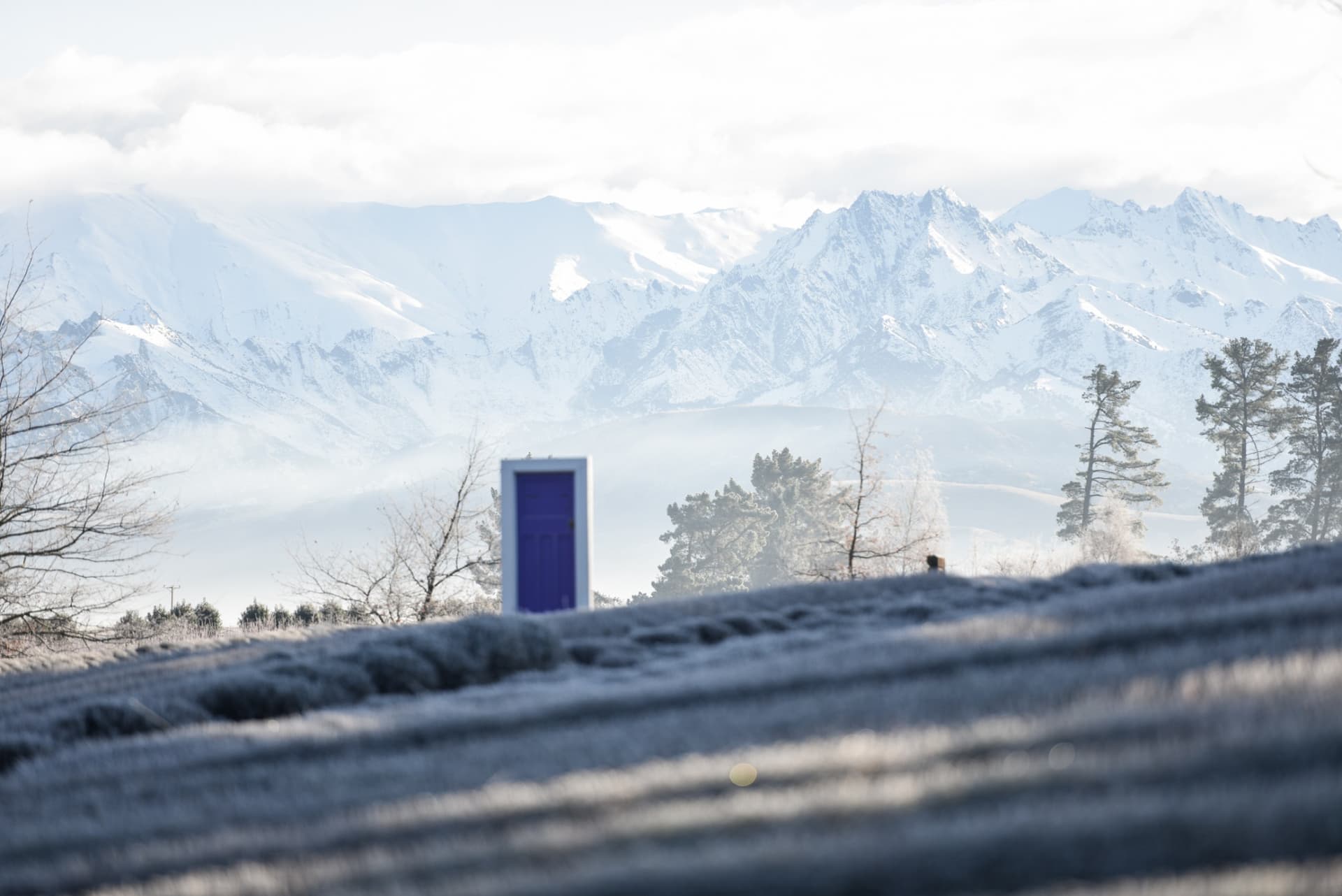 Wanaka Lavender Farm Ticket - სურათი 8