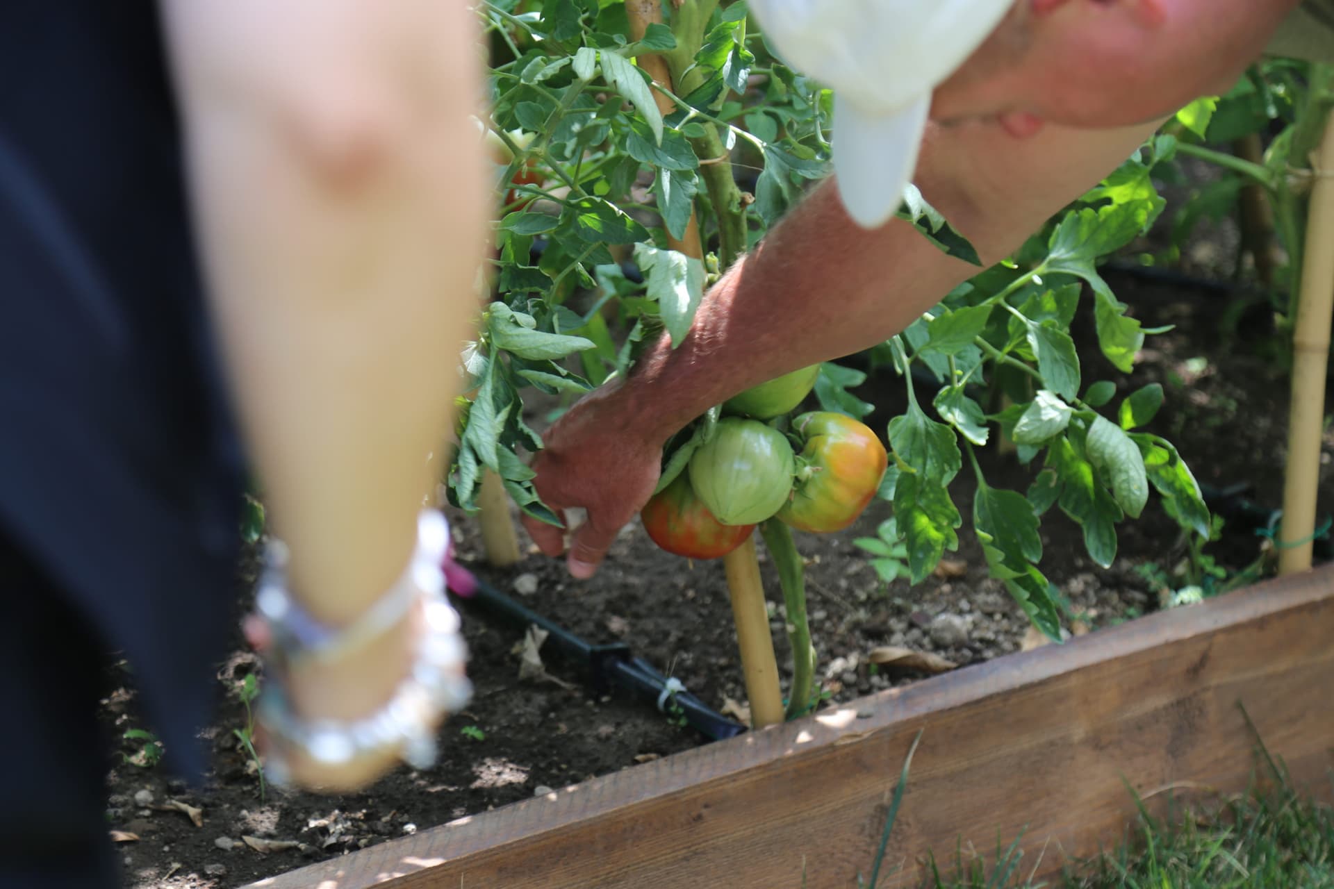 Sorrento Cooking Class & Food Experience - სურათი 8