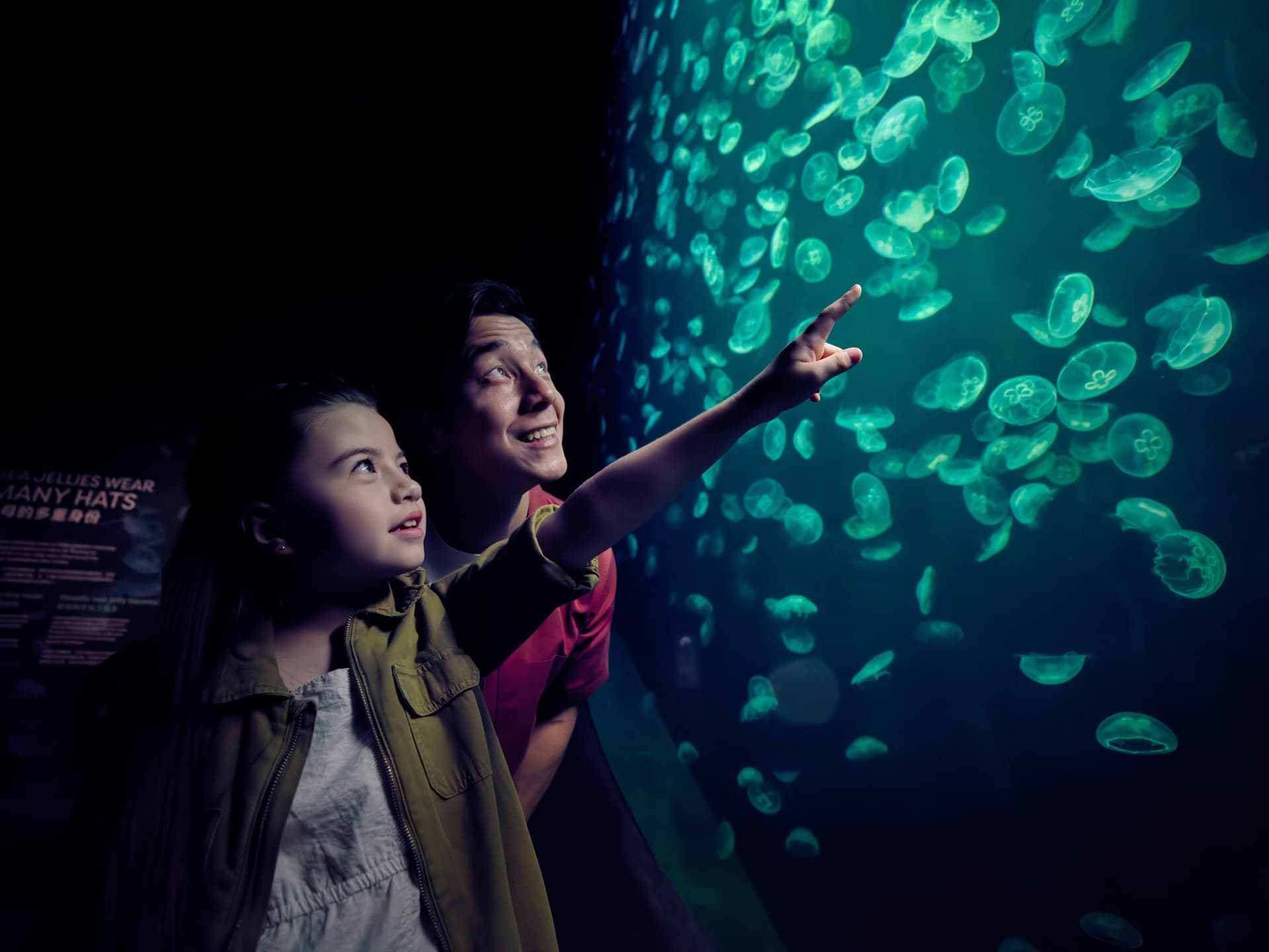 Singapore Oceanarium Ticket - სურათი 9