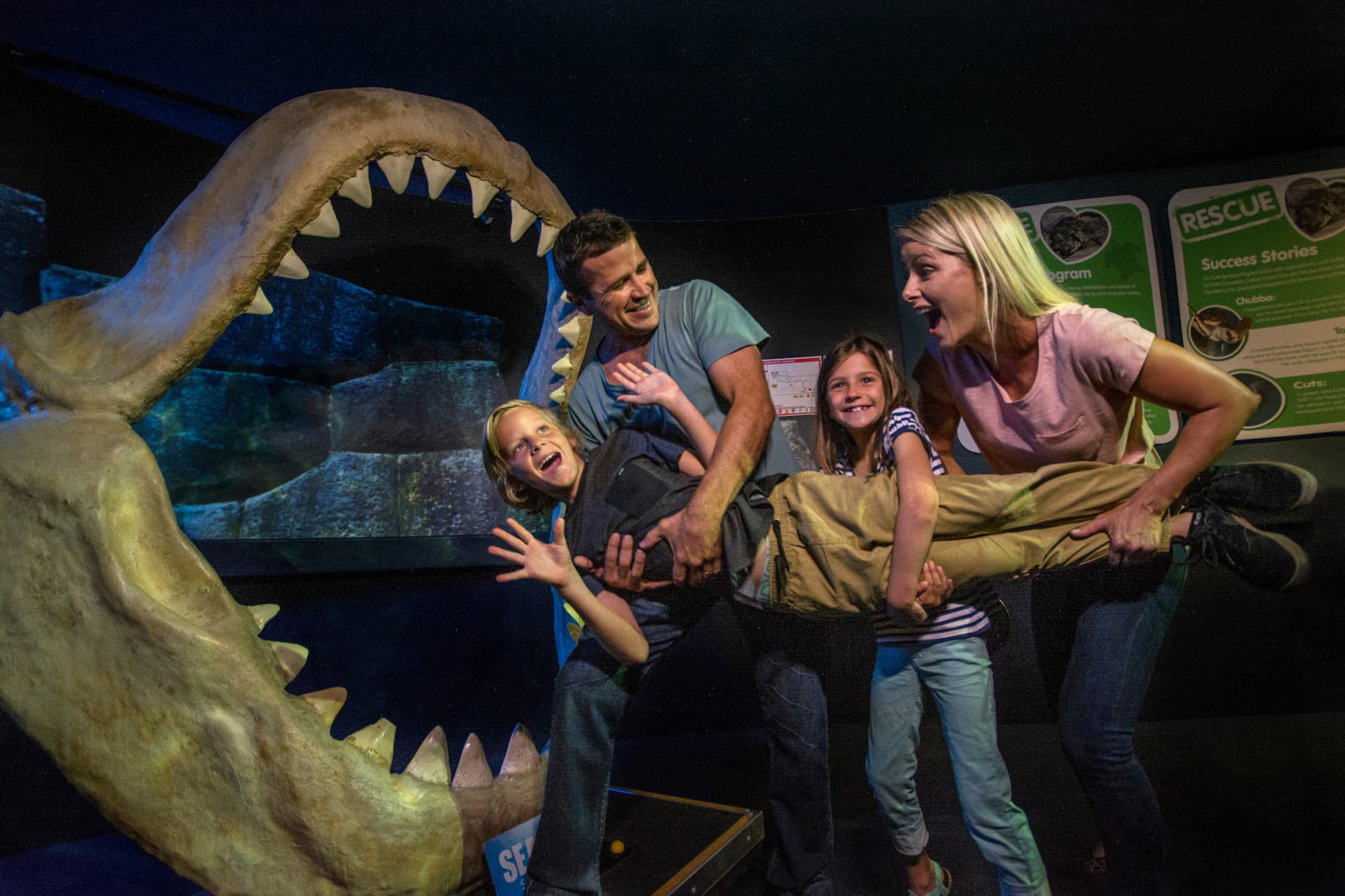 SEA LIFE Sunshine Coast Aquarium Direct Entry Ticket - სურათი 6