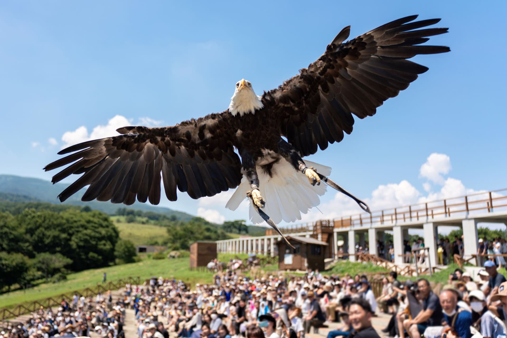 Nasu Animal Kingdom Ticket - სურათი 9
