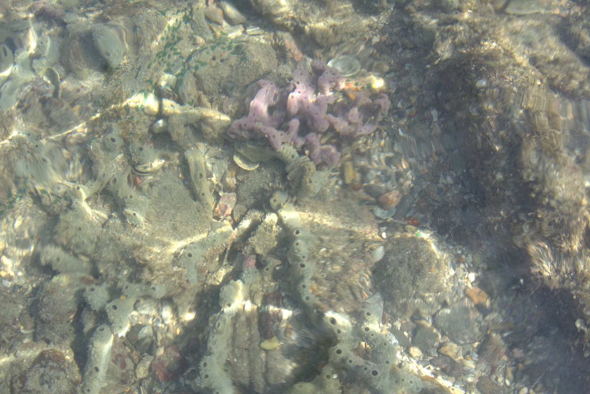 Desaru Beach and Tide Pool Walk - სურათი 36