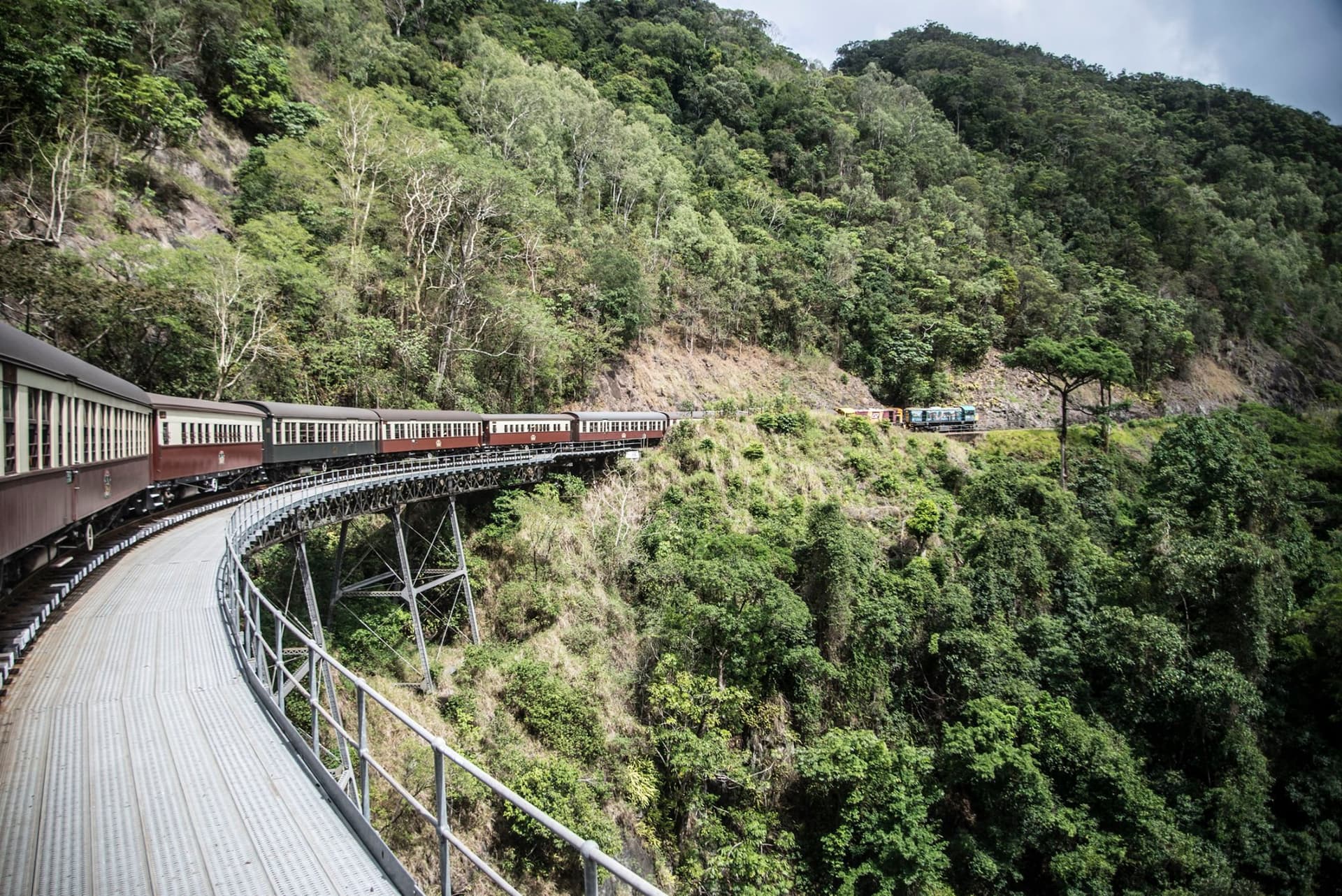 Kuranda Rainforestation Nature Park Full-Day Tour from Cairns with Kuranda Scenic Railway - სურათი 3