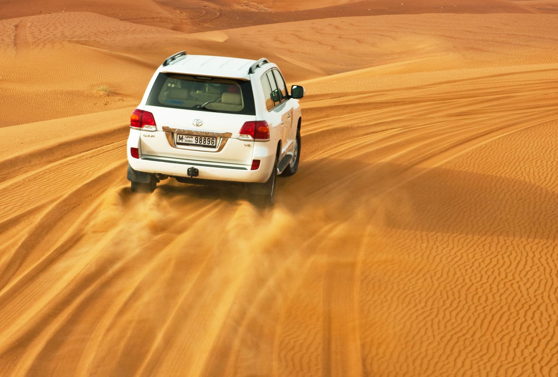 Liwa Desert Safari Tour - სურათი 6
