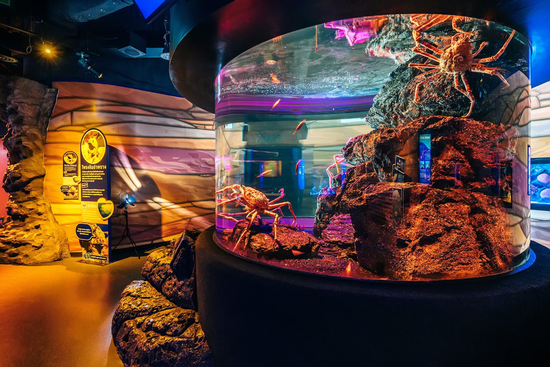 COMBO: SEA LIFE Bangkok Ocean World + Madame Tussauds Bangkok Tickets - სურათი 3