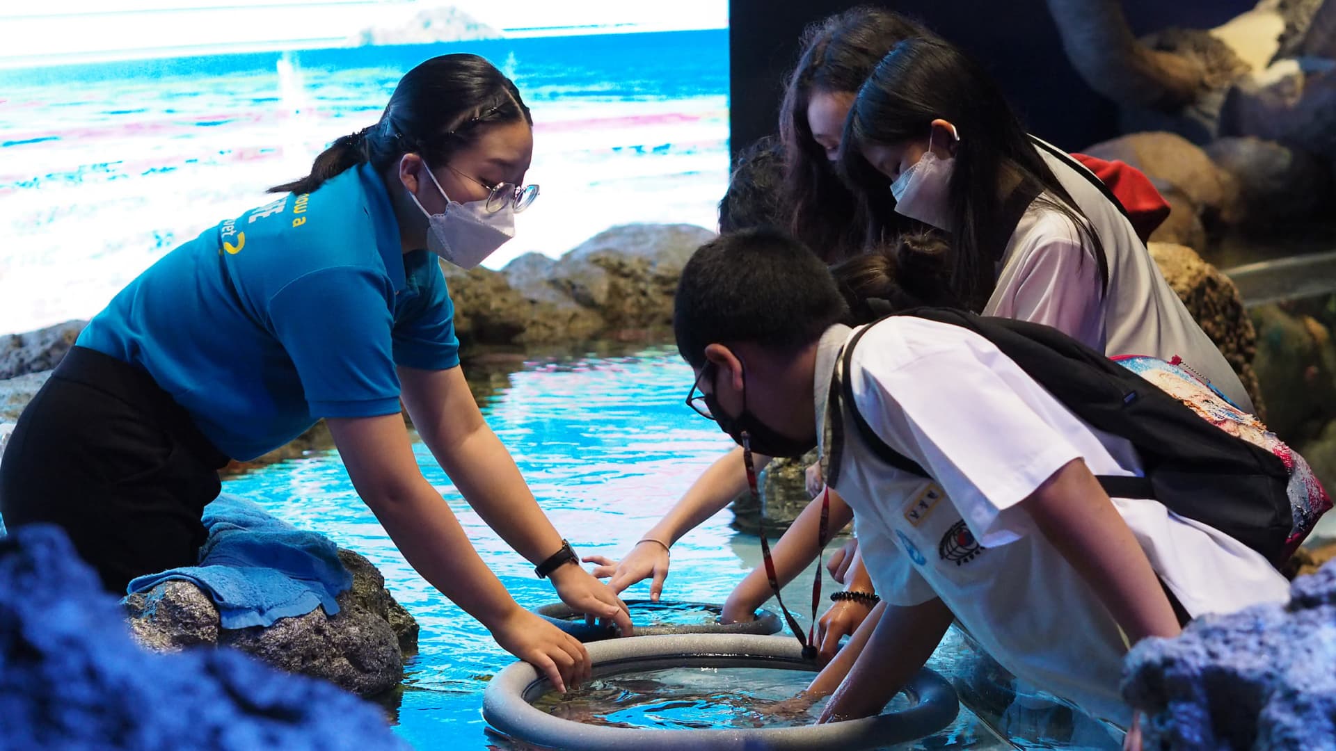 SEA LIFE Bangkok Ocean World Ticket - სურათი 8