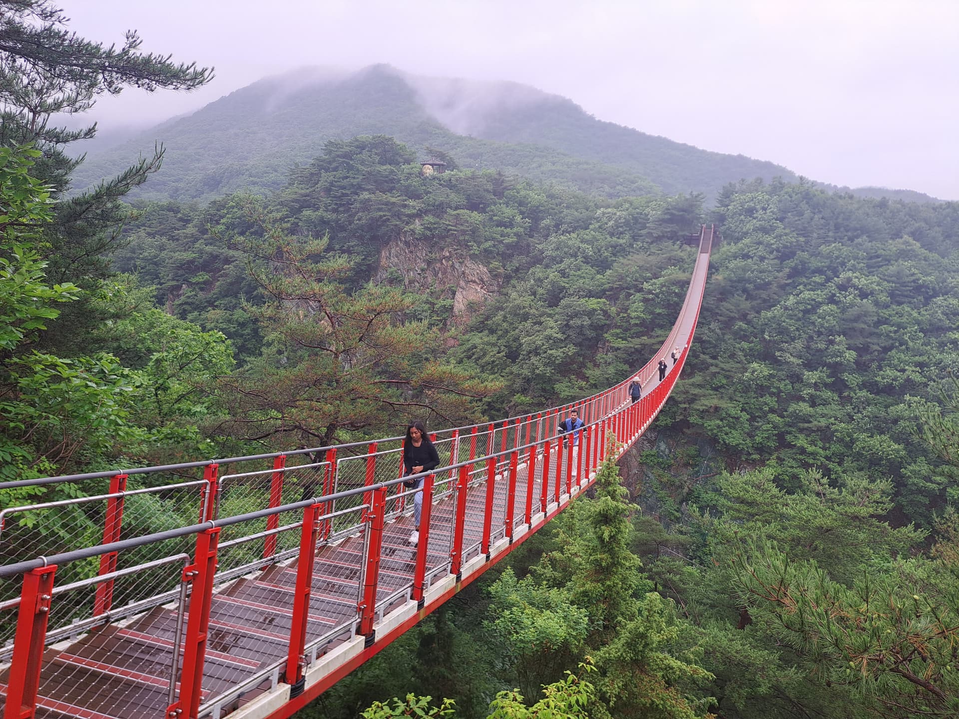 Korean Demilitarized Zone (DMZ) Tour from Seoul - სურათი 12