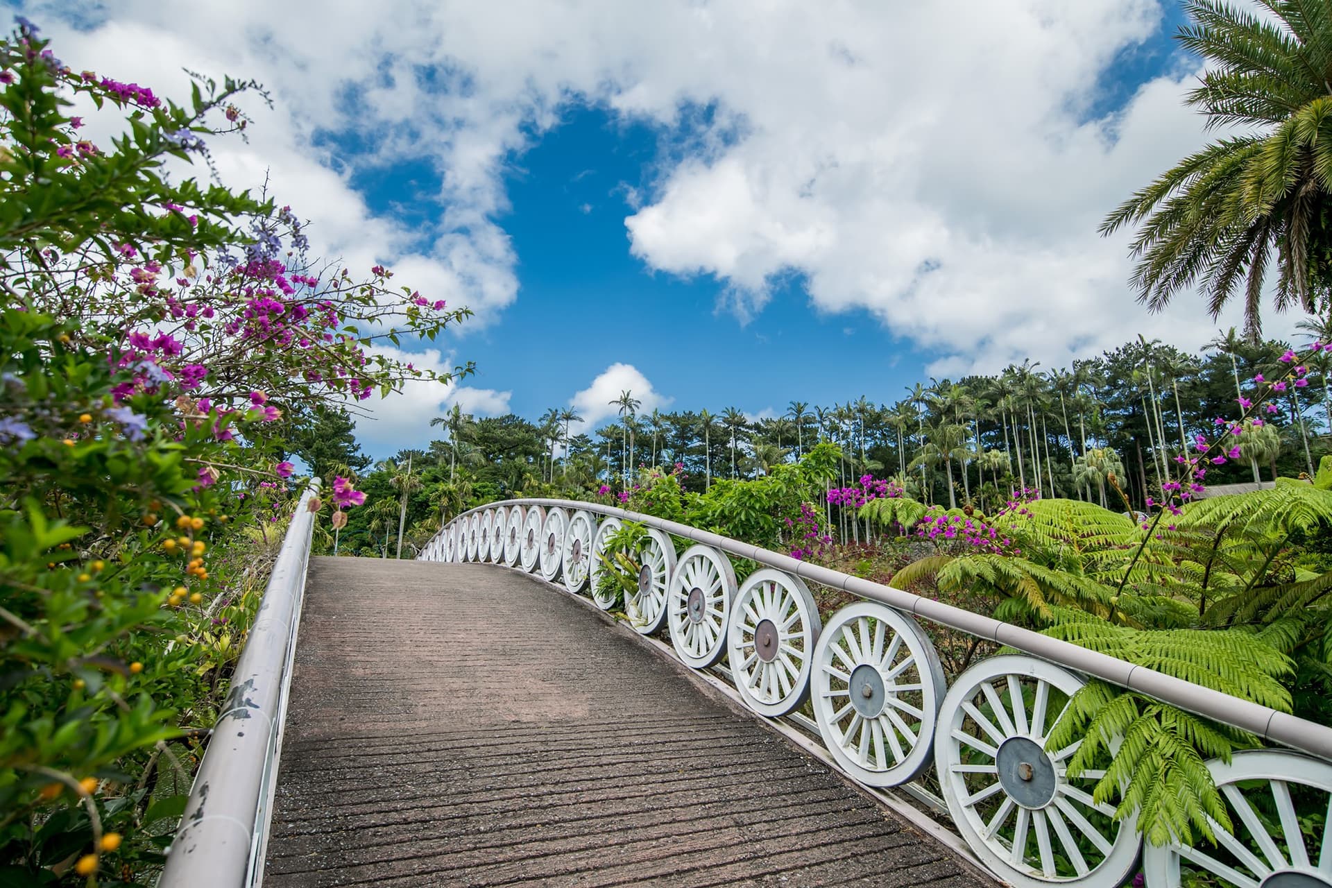 Okinawa Southeast Botanical Gardens - სურათი 12