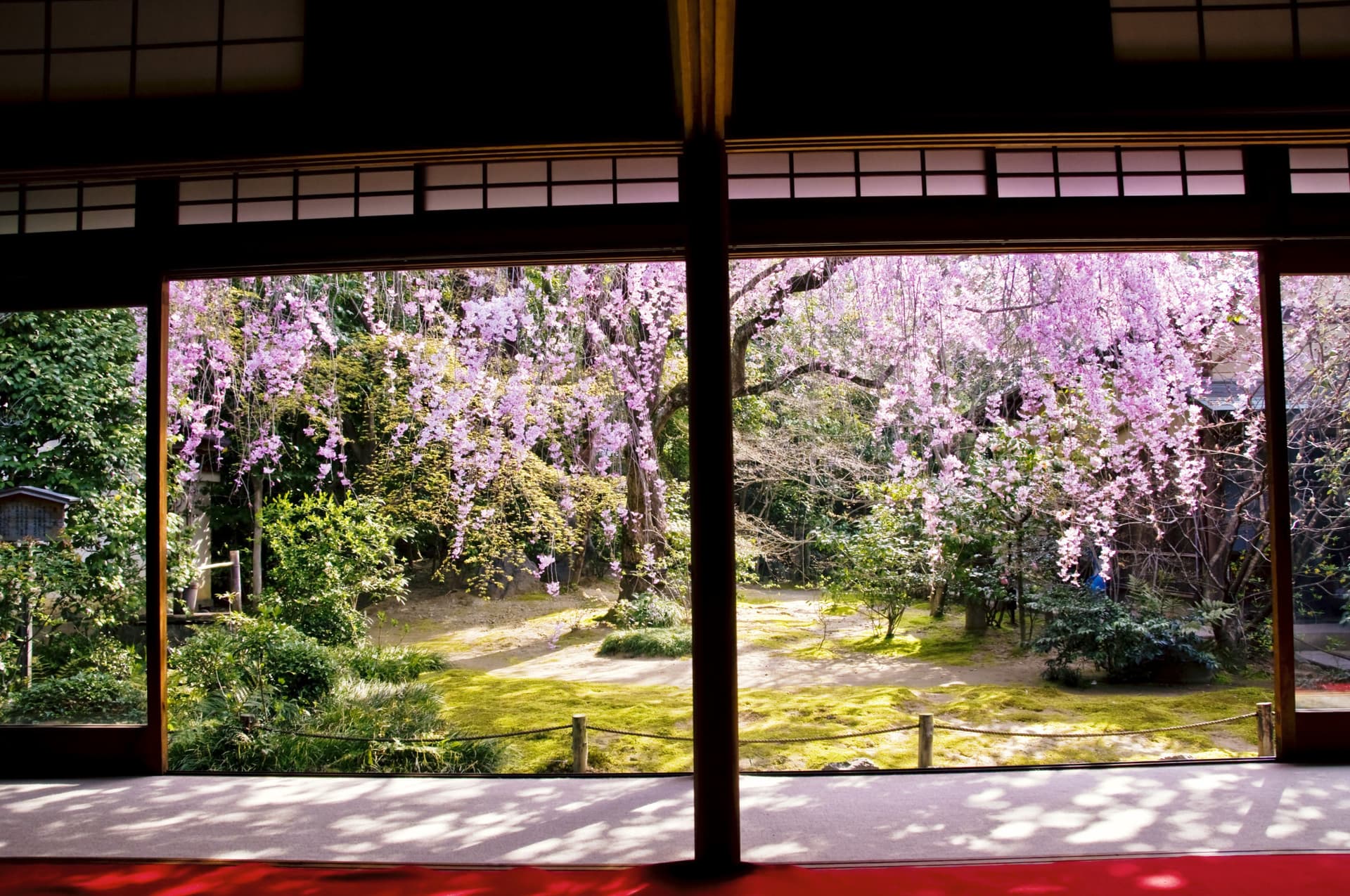 Myoshinji Temple Self-Guided Tour with Lunch - სურათი 5