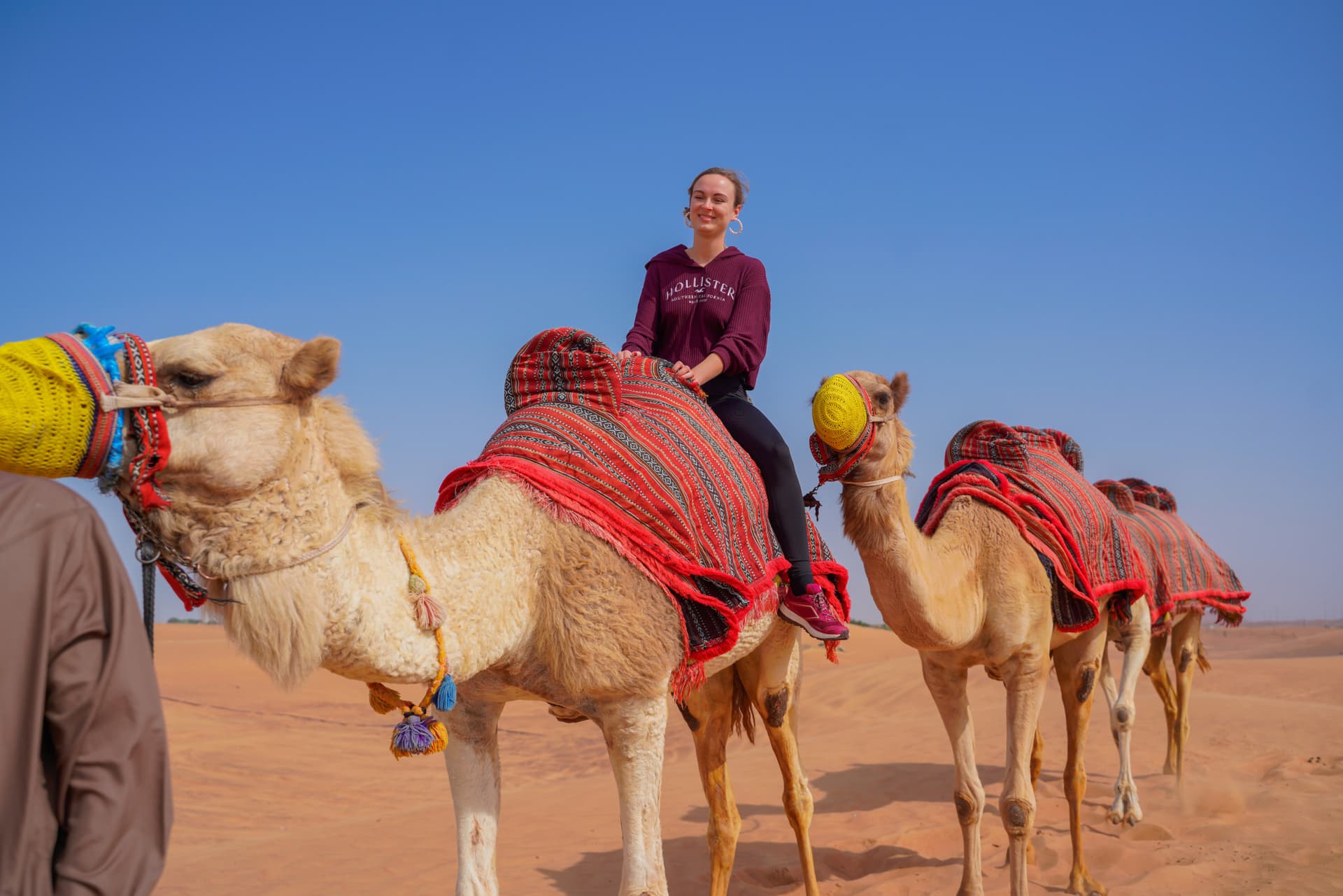 Dubai Red Dunes Desert Safari Tour with Camel Ride and Buffet Dinner at Al Khayma Camp - სურათი 2