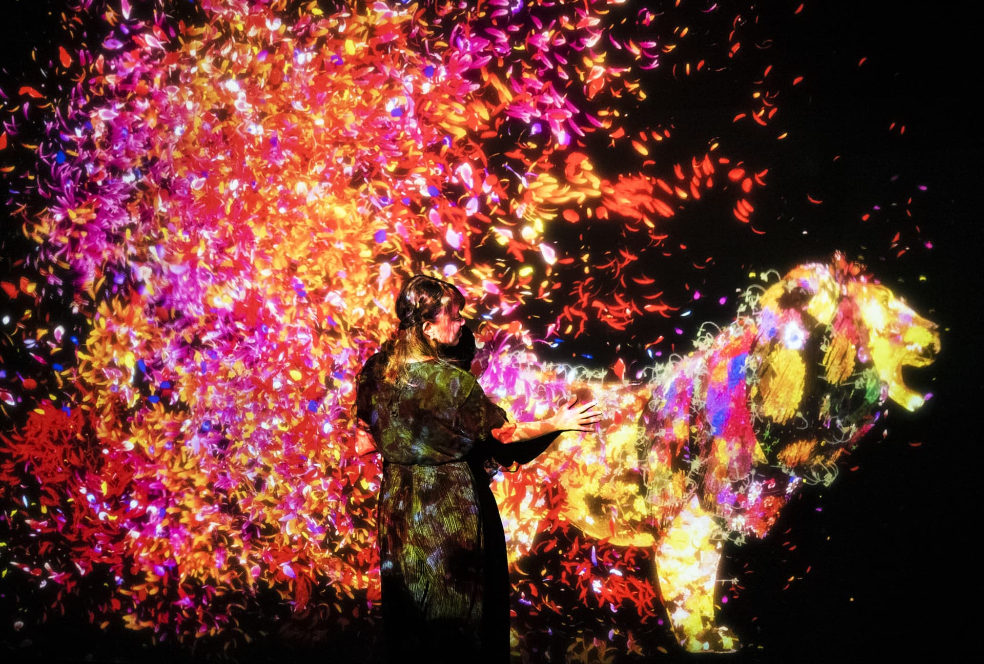 teamLab SuperNature Macao 3D Interactive Exhibition Ticket - სურათი 3