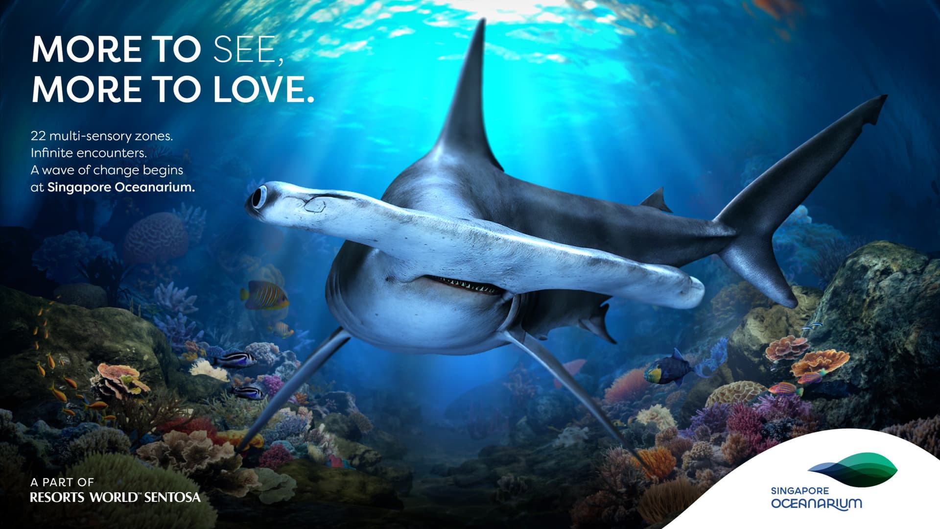 COMBO: Singapore Oceanarium + Albatross Hop-On Hop-Off Speedboat Tickets - სურათი 5