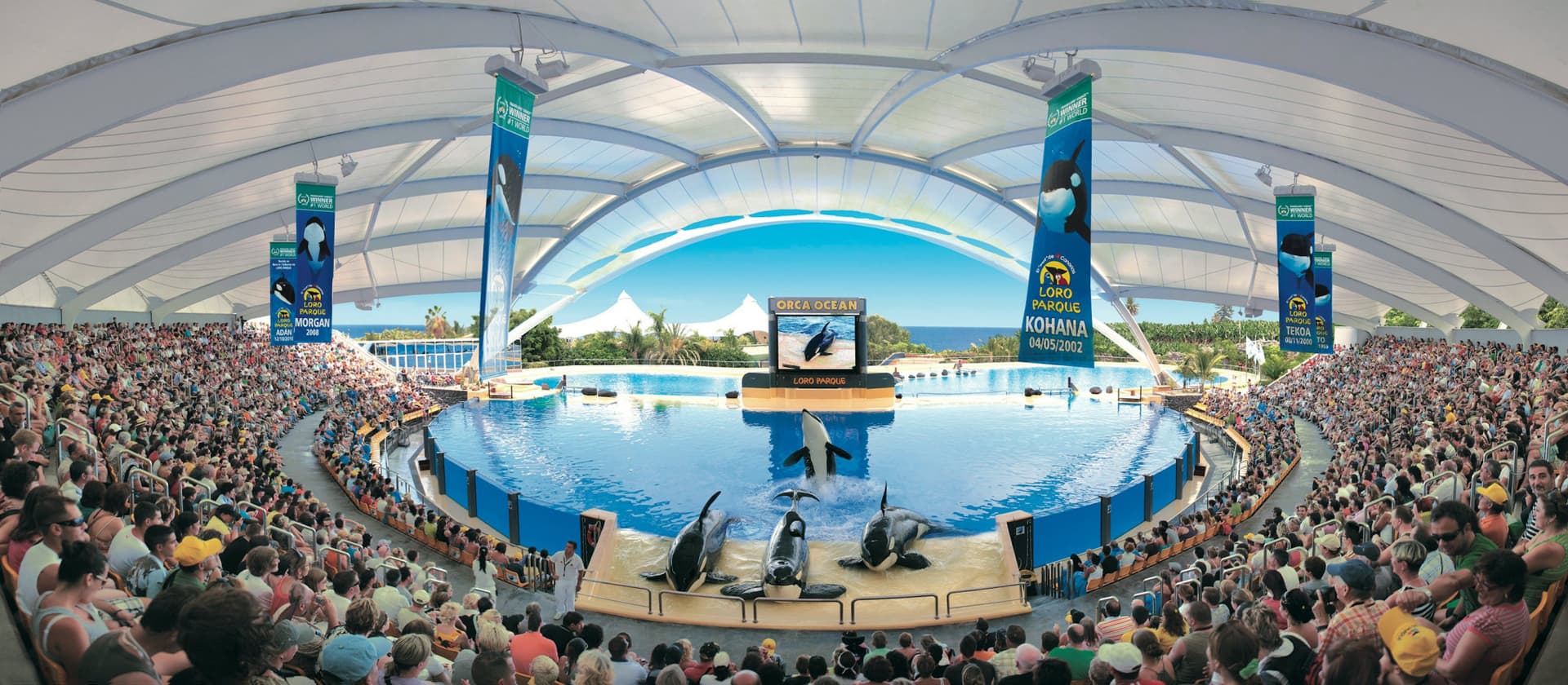 Loro Parque Ticket - სურათი 3