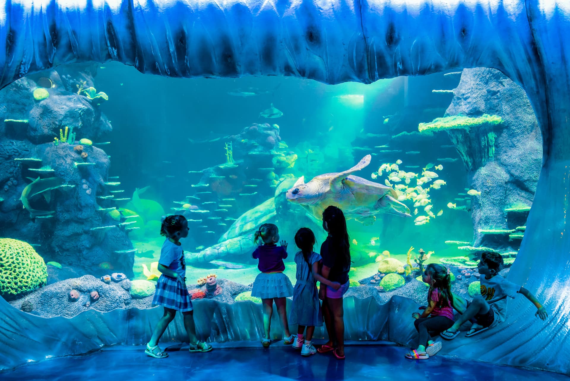 Go City Sydney Explorer Pass: Save up to 50% on Attractions - სურათი 30