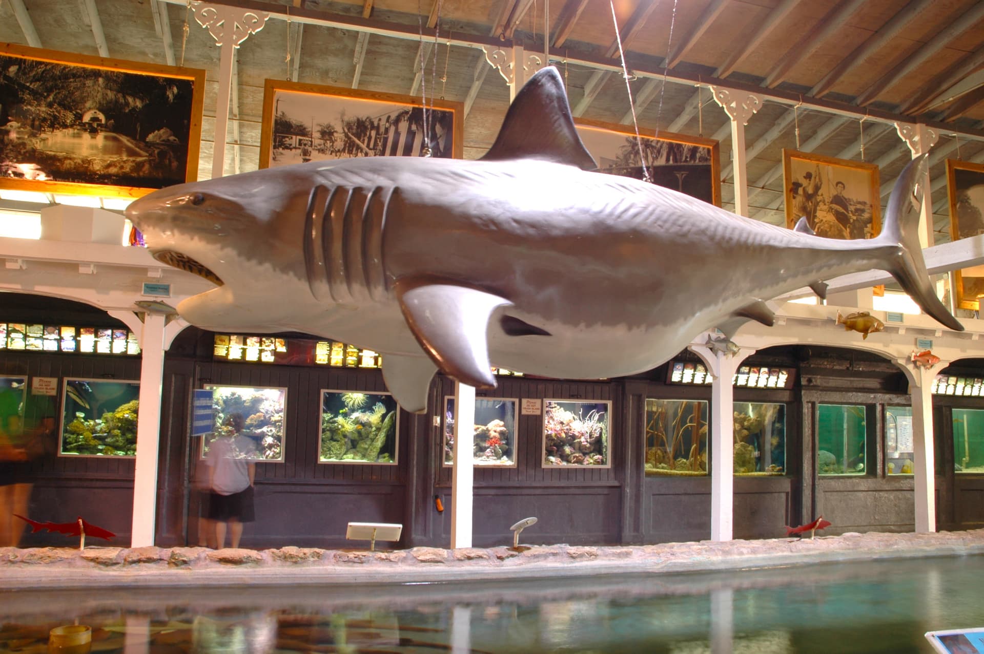 Go City Miami Explorer Pass: Save up to 50% on Attractions - სურათი 21