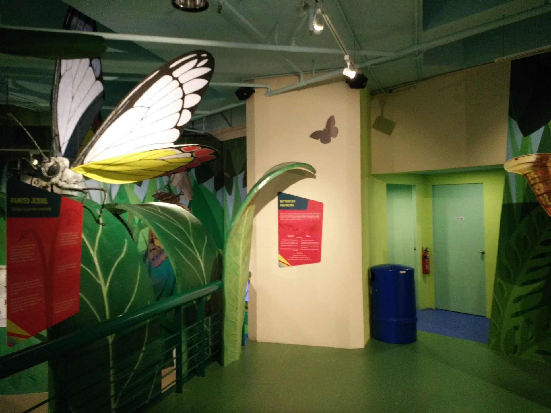 Science Centre Singapore, Omni Theatre, and KidsSTOP Singapore Ticket - სურათი 8