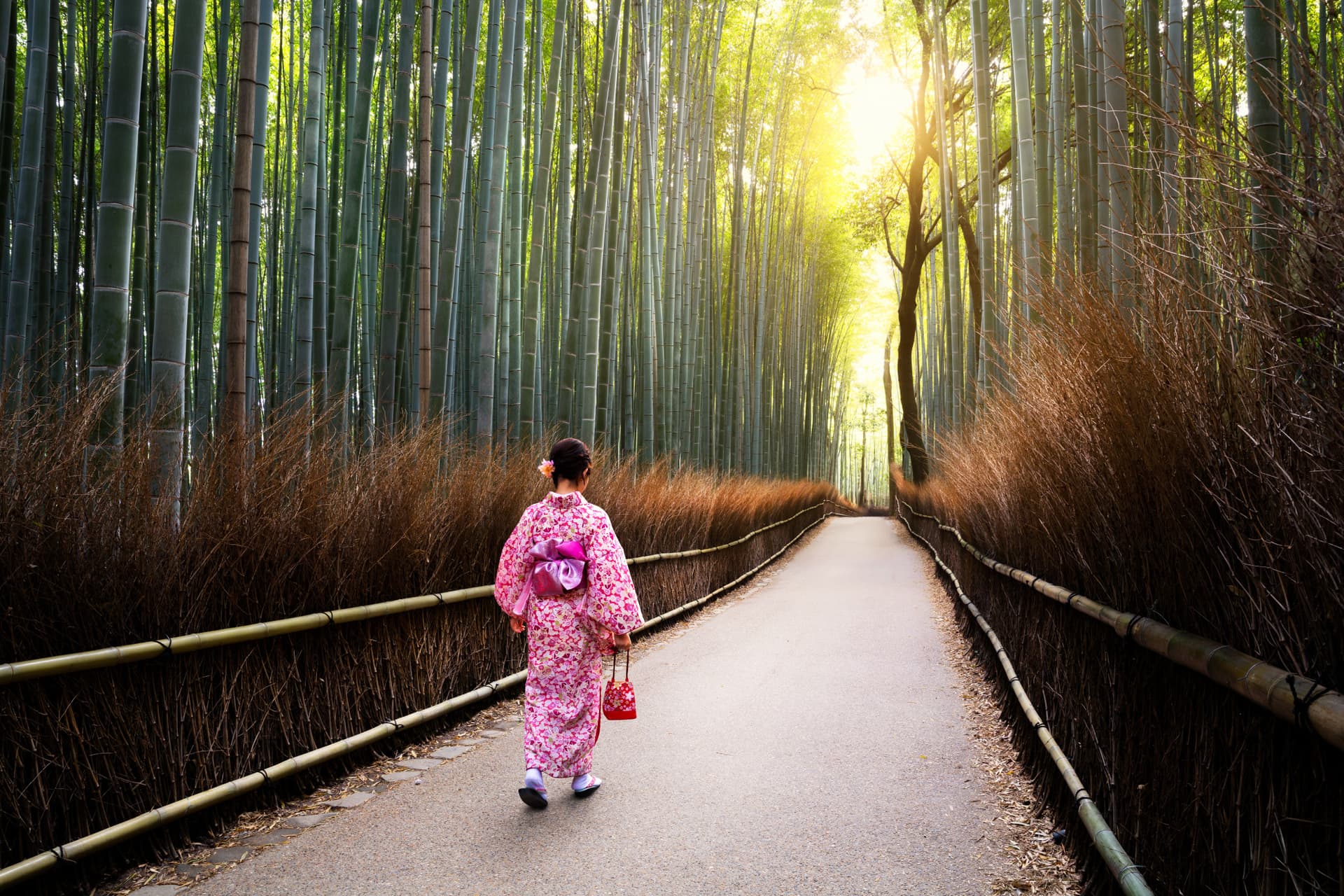 Professional Photo Shoot in Kyoto - მთავარი სურათი