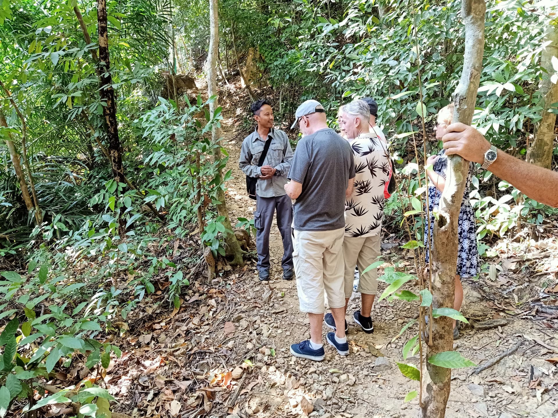 Langkawi Morning Rainforest Walking Tour - მთავარი სურათი
