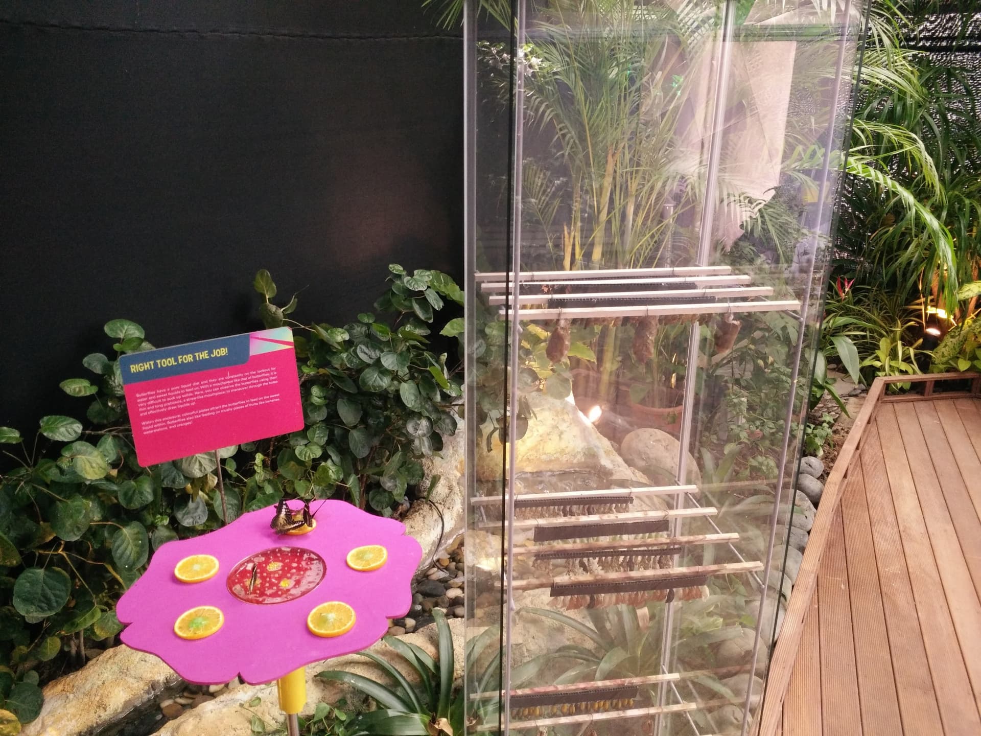 Science Centre Singapore, Omni Theatre, and KidsSTOP Singapore Ticket - სურათი 6