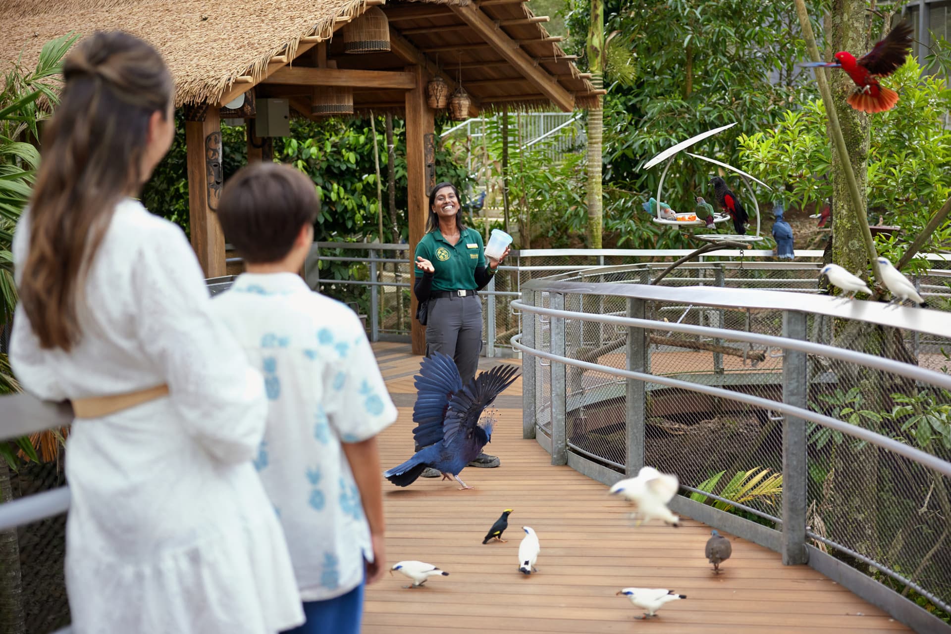 COMBO: River Wonders + Bird Paradise Ticket - სურათი 21