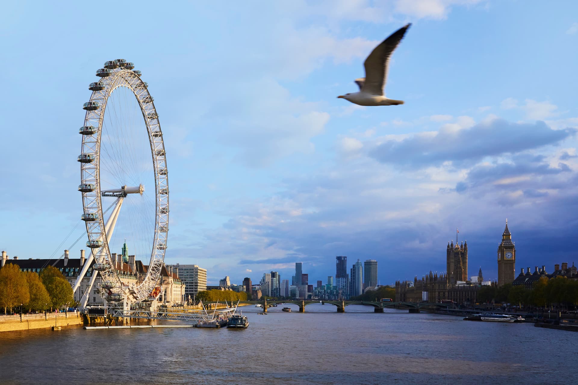 COMBO: London Eye + SEA LIFE London Aquarium Ticket - მთავარი სურათი