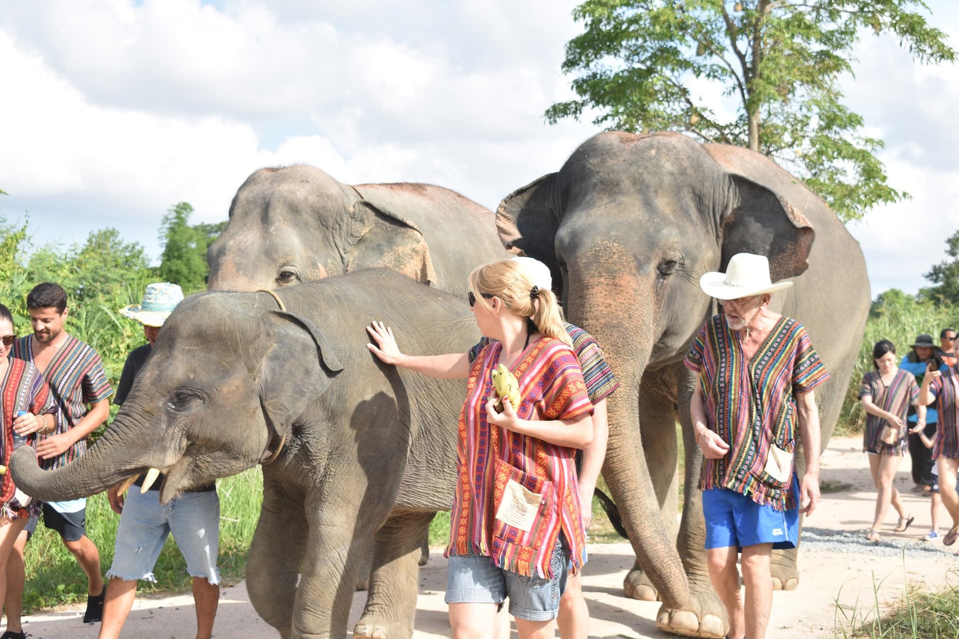 Elephant Jungle Sanctuary Pattaya - სურათი 4