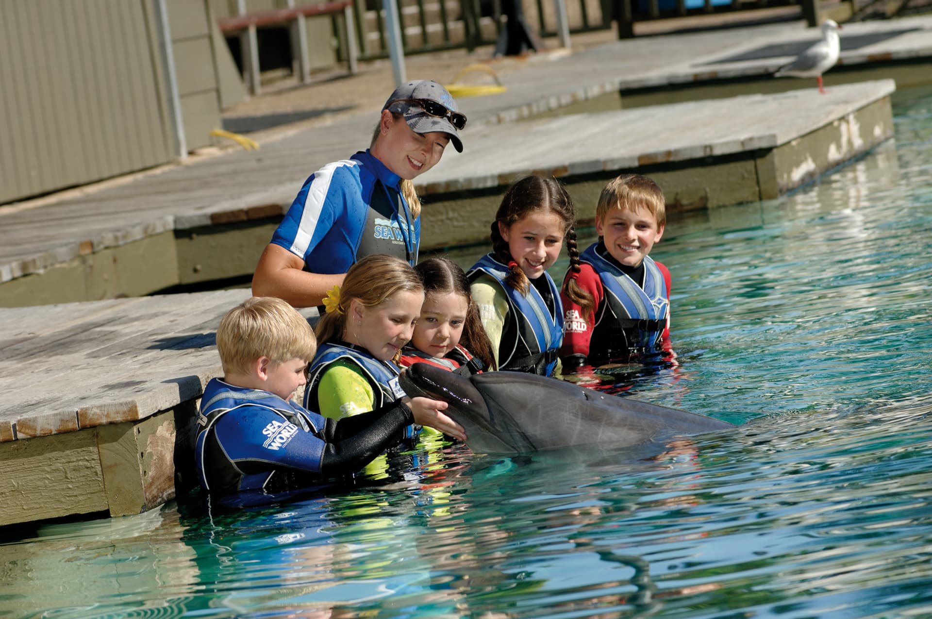 Sea World Gold Coast Ticket - სურათი 14