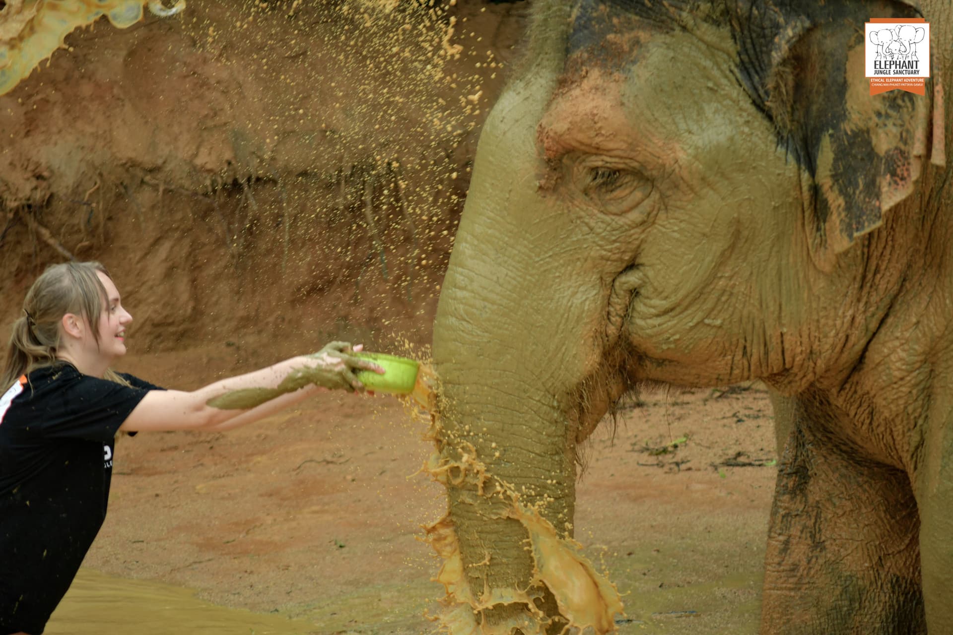 Elephant Jungle Sanctuary Phuket - სურათი 17