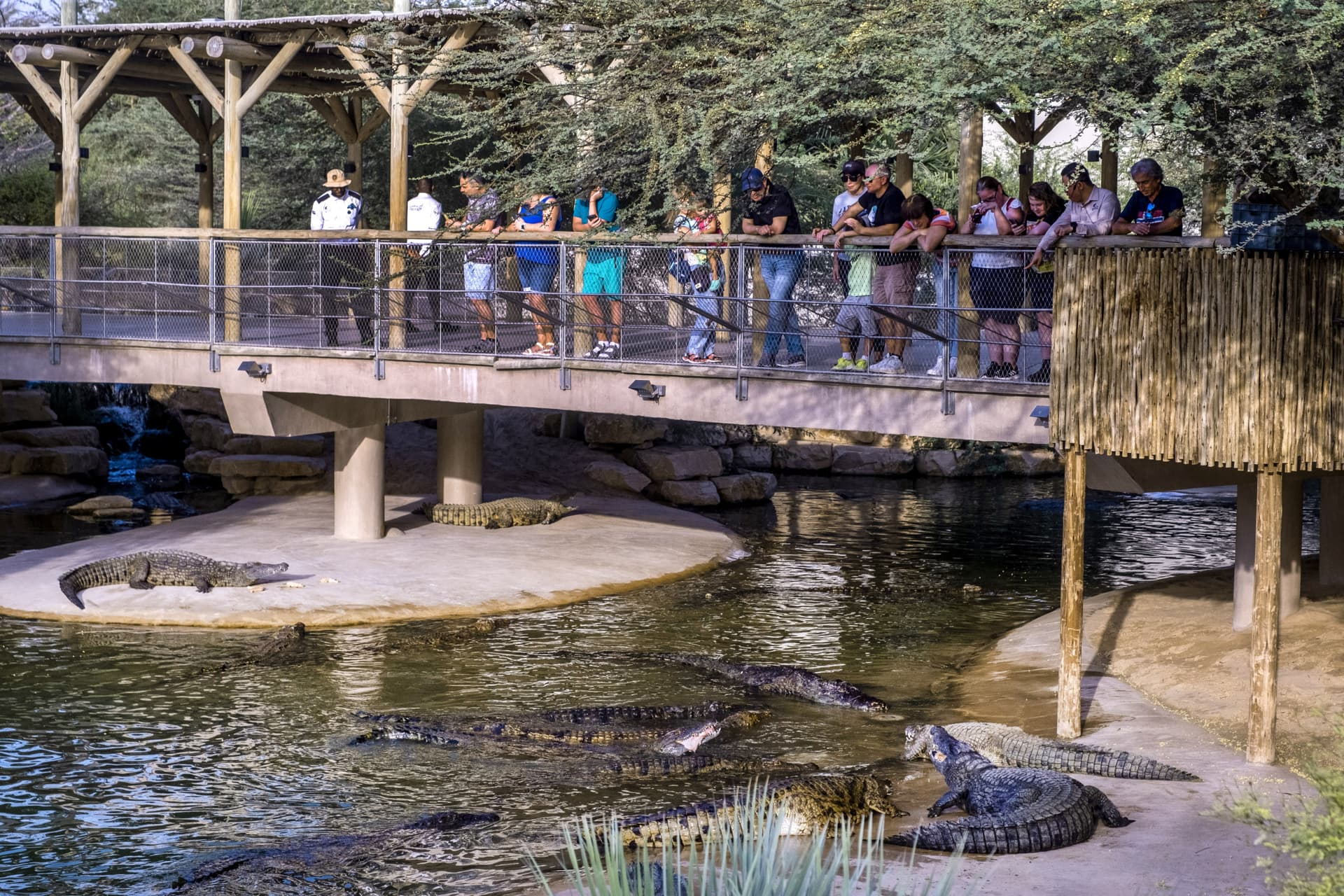 COMBO: Dubai Dolphinarium + Dubai Crocodile Park Tickets - სურათი 6